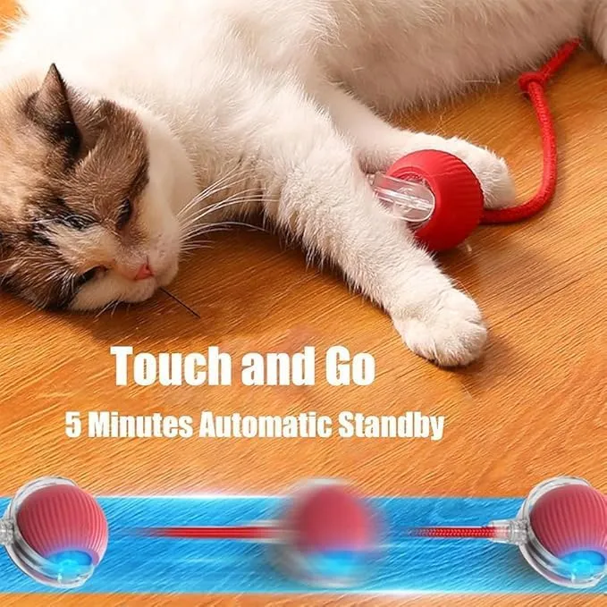 2025 New Electric Dog Ball Toy,Electric Ball Dog Toy for Cat,360 Smart Automatic Interactive Rolling Dog Ball, Smart Interactive Pet Toy Ball,Automatic Dog Toy,Interactive Dog Toys,Gift for kids