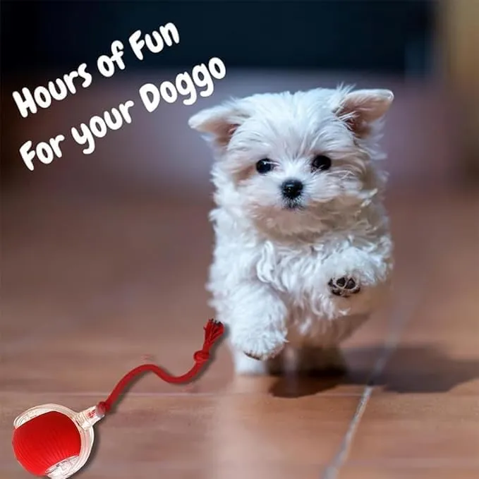 2025 New Electric Dog Ball Toy,Electric Ball Dog Toy for Cat,360 Smart Automatic Interactive Rolling Dog Ball, Smart Interactive Pet Toy Ball,Automatic Dog Toy,Interactive Dog Toys,Gift for kids