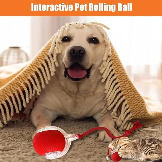 2025 New Electric Dog Ball Toy,Electric Ball Dog Toy for Cat,360 Smart Automatic Interactive Rolling Dog Ball, Smart Interactive Pet Toy Ball,Automatic Dog Toy,Interactive Dog Toys,Gift for kids