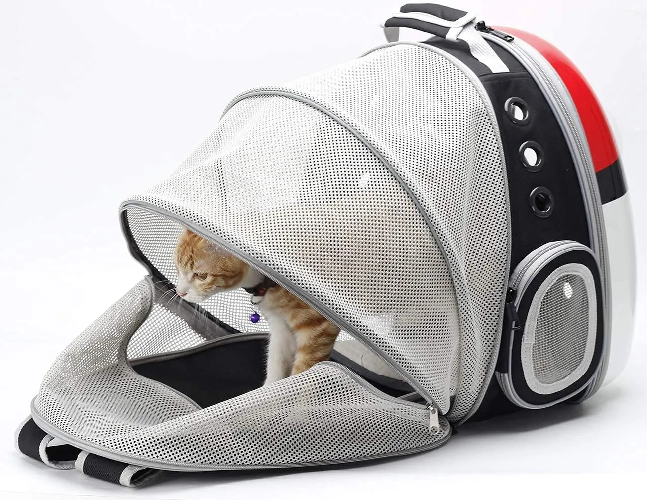 Back Expandable Cat Backpack Carrier, Fit up to 12 lbs, Hard Shell Window Pet Carrier Backpack for Cat and Small Puppy
