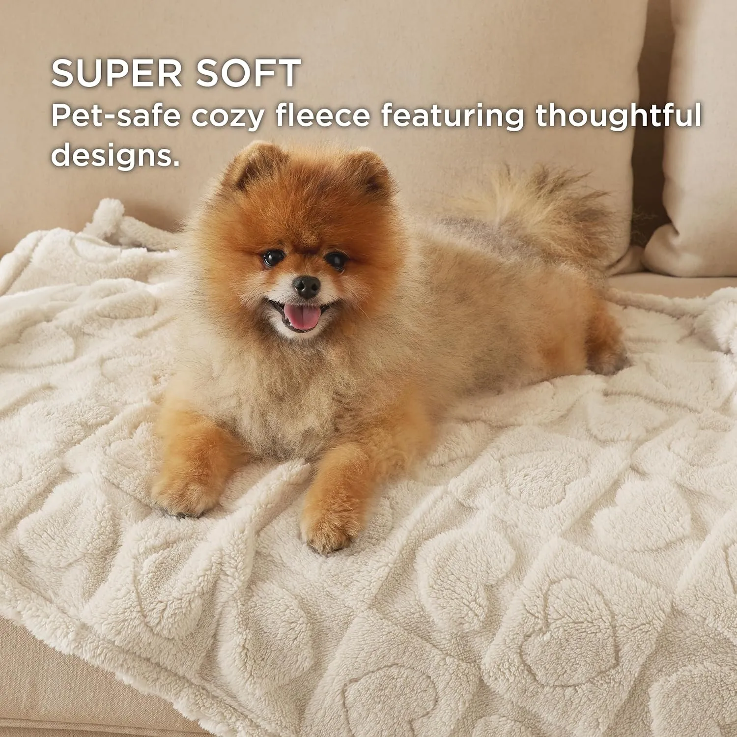 Bedsure Dog Blankets for Small Dogs Washable - Fluffy Fuzzy Cat Puppy Blanket with Premium 300GSM Coral Fleece Soft for Pet Kitten Doggy, White, 25x35IN