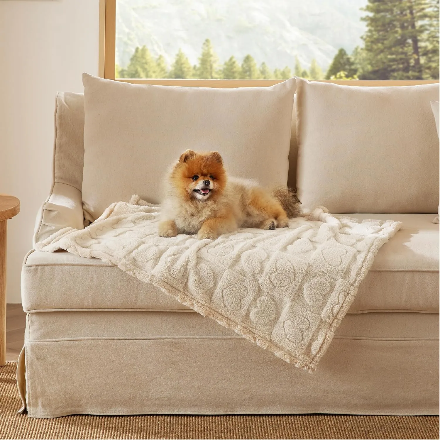 Bedsure Dog Blankets for Small Dogs Washable - Fluffy Fuzzy Cat Puppy Blanket with Premium 300GSM Coral Fleece Soft for Pet Kitten Doggy, White, 25x35IN