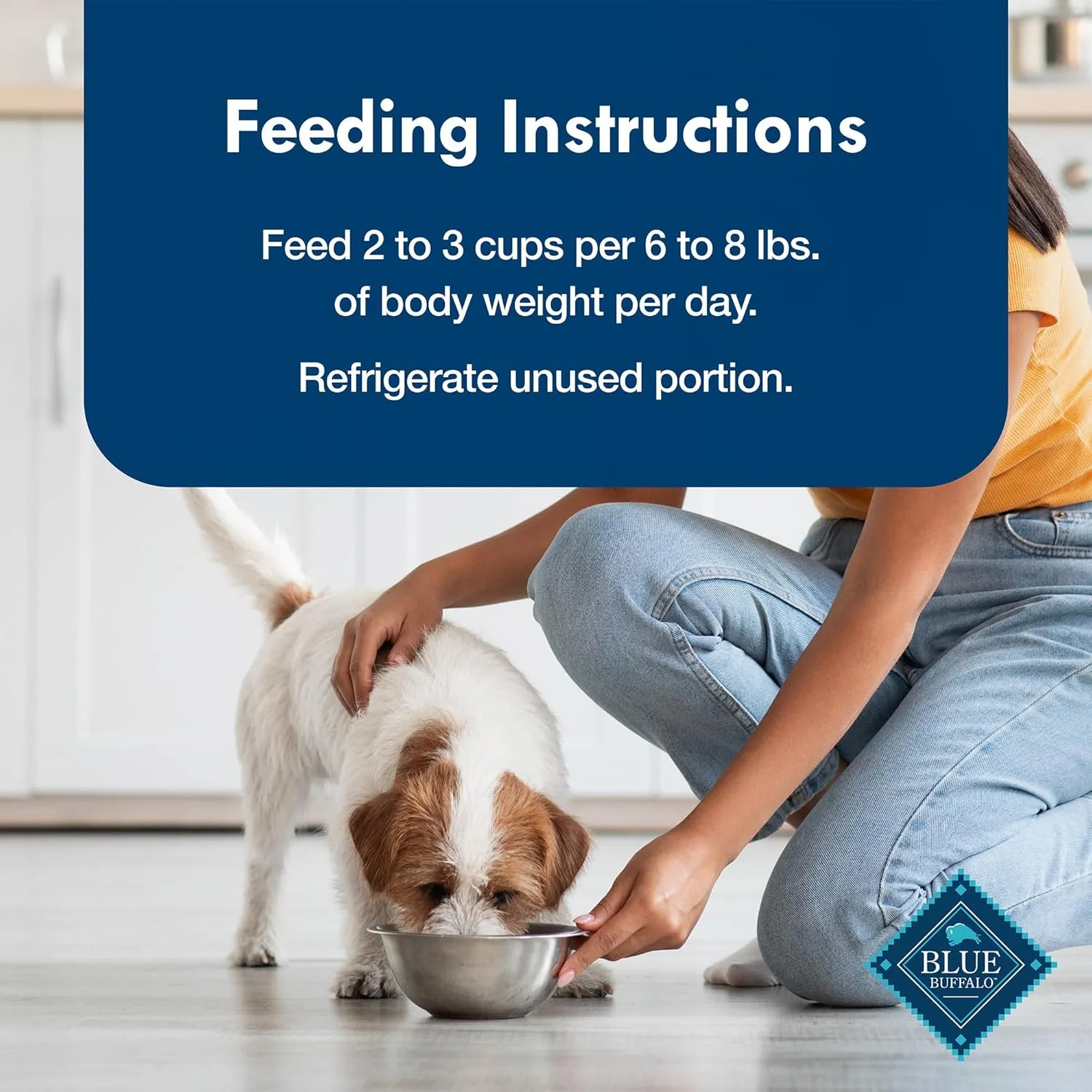 Blue Buffalo Delights Natural Adult Small Breed Wet Dog Food Variety Pack, Made with Natural Ingredients, Filet Mignon Flavor Pat & Porterhouse Flavor Pat, 3.5-oz. Cups (12 Count, 6 of Each)