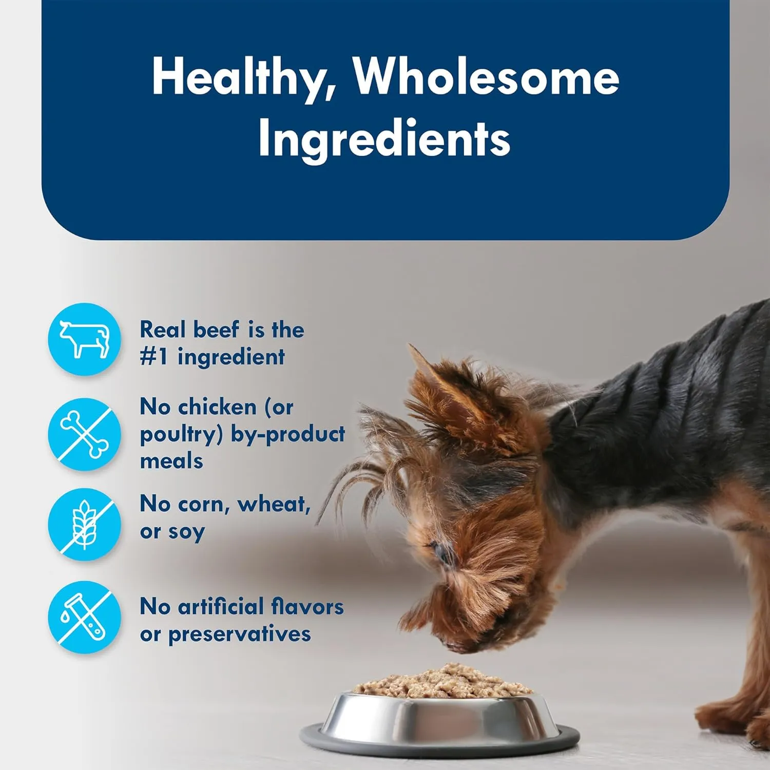 Blue Buffalo Delights Natural Adult Small Breed Wet Dog Food Variety Pack, Made with Natural Ingredients, Filet Mignon Flavor Pat & Porterhouse Flavor Pat, 3.5-oz. Cups (12 Count, 6 of Each)
