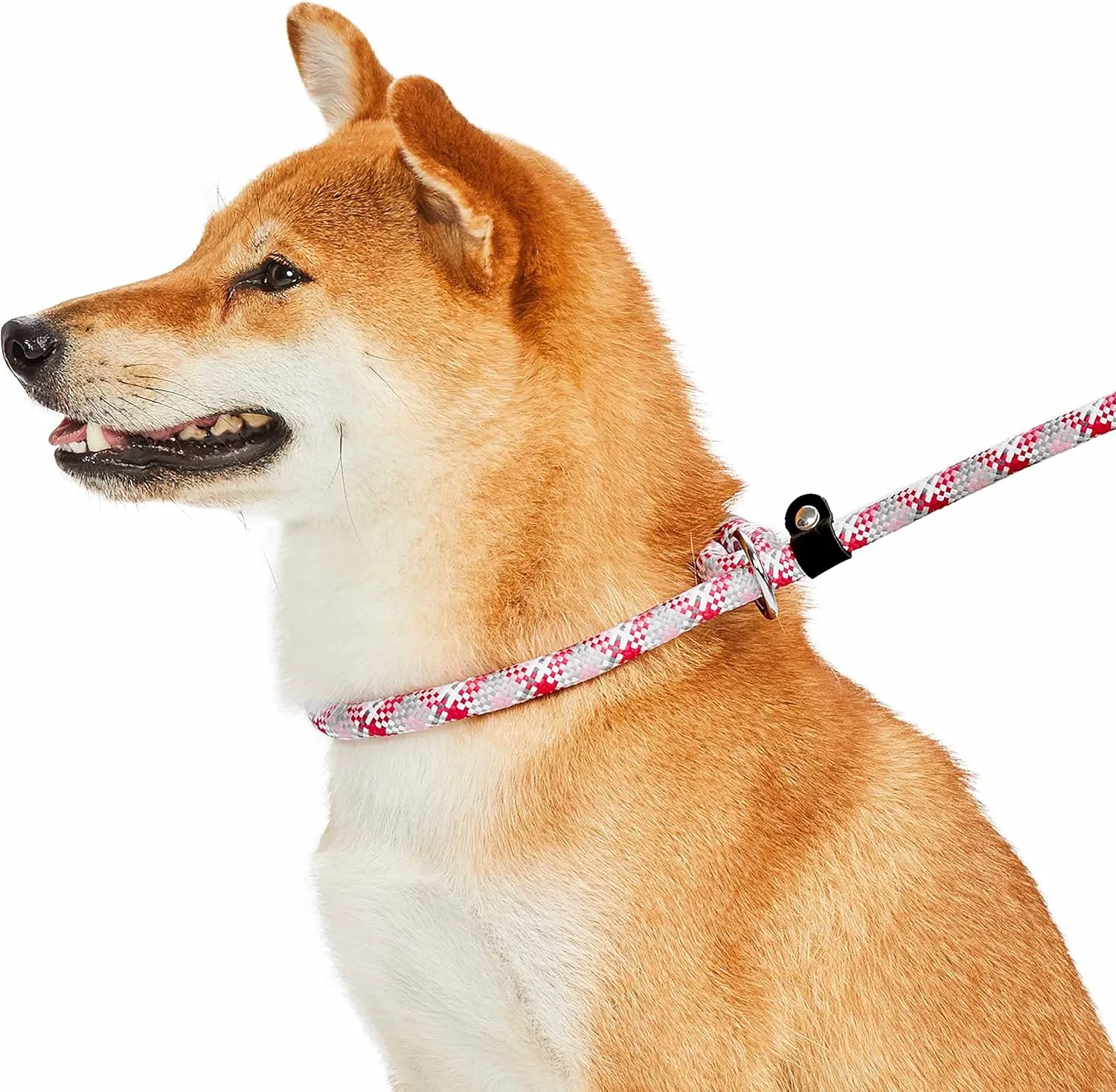 Blueberry Pet Dog Leash with Training Set Comfy Neoprene Handle, Pink-Tone, 6 Ft, Puppy Essentials, Dog Leashes for Large Dogs Heavy Duty, Strong Rope Dog Leash, Rope Leash, Durable Hardware