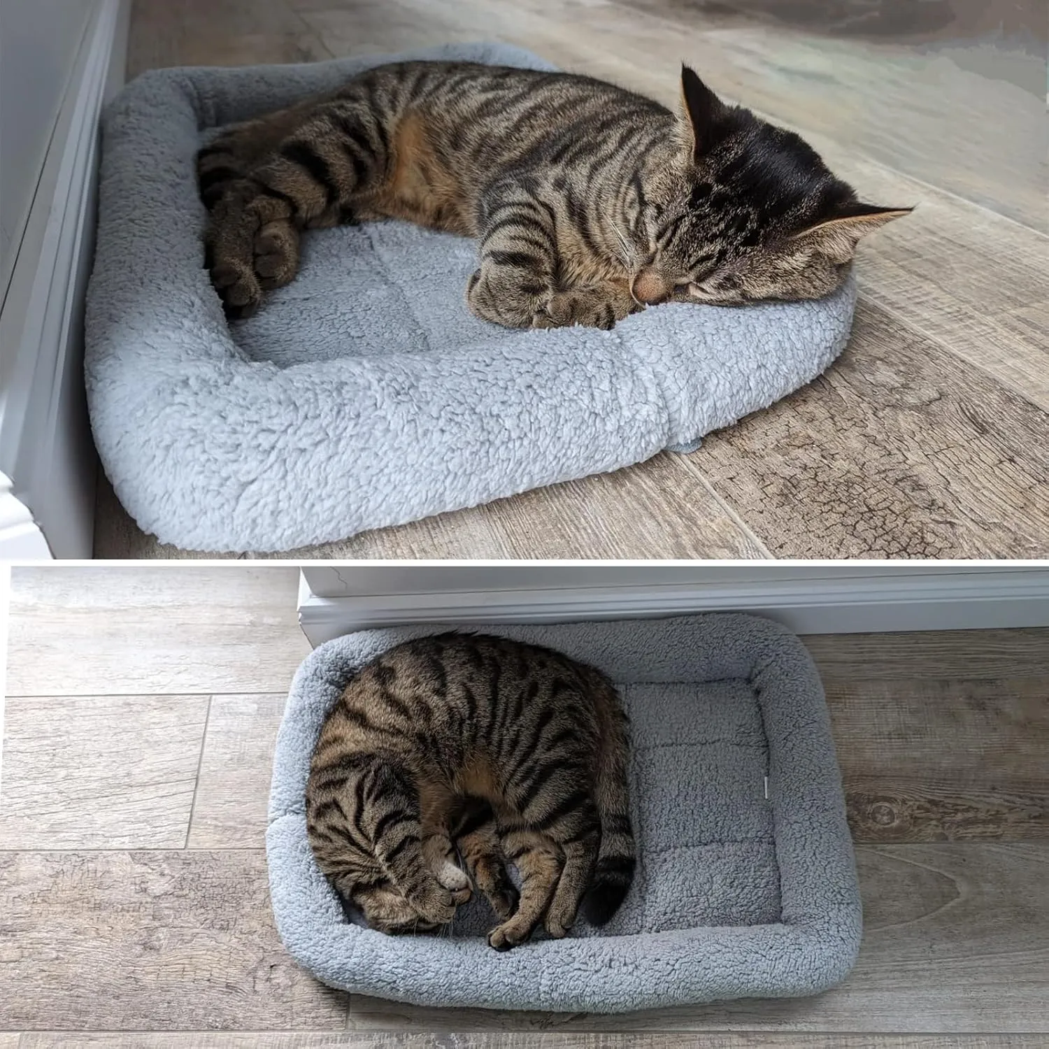 Cat Bed Washable Indoor Cat Cushion Bed, Soft and Cozy Plush Pet Bed-M