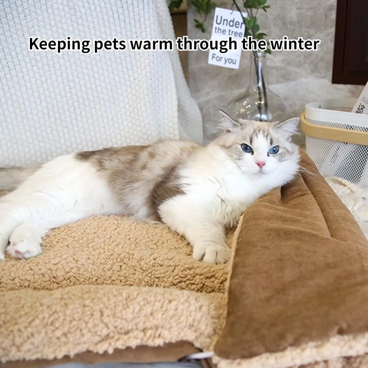 Cat Beds Small Dog Bed, Self Warming Cat Dog Mat Washable Warm Fluffy Pet Pad Calming Cushion Soft Kitty Bed for Indoor Outdoor Crate Pets Cat Small Dog Sleeping (Light Gray,Small)