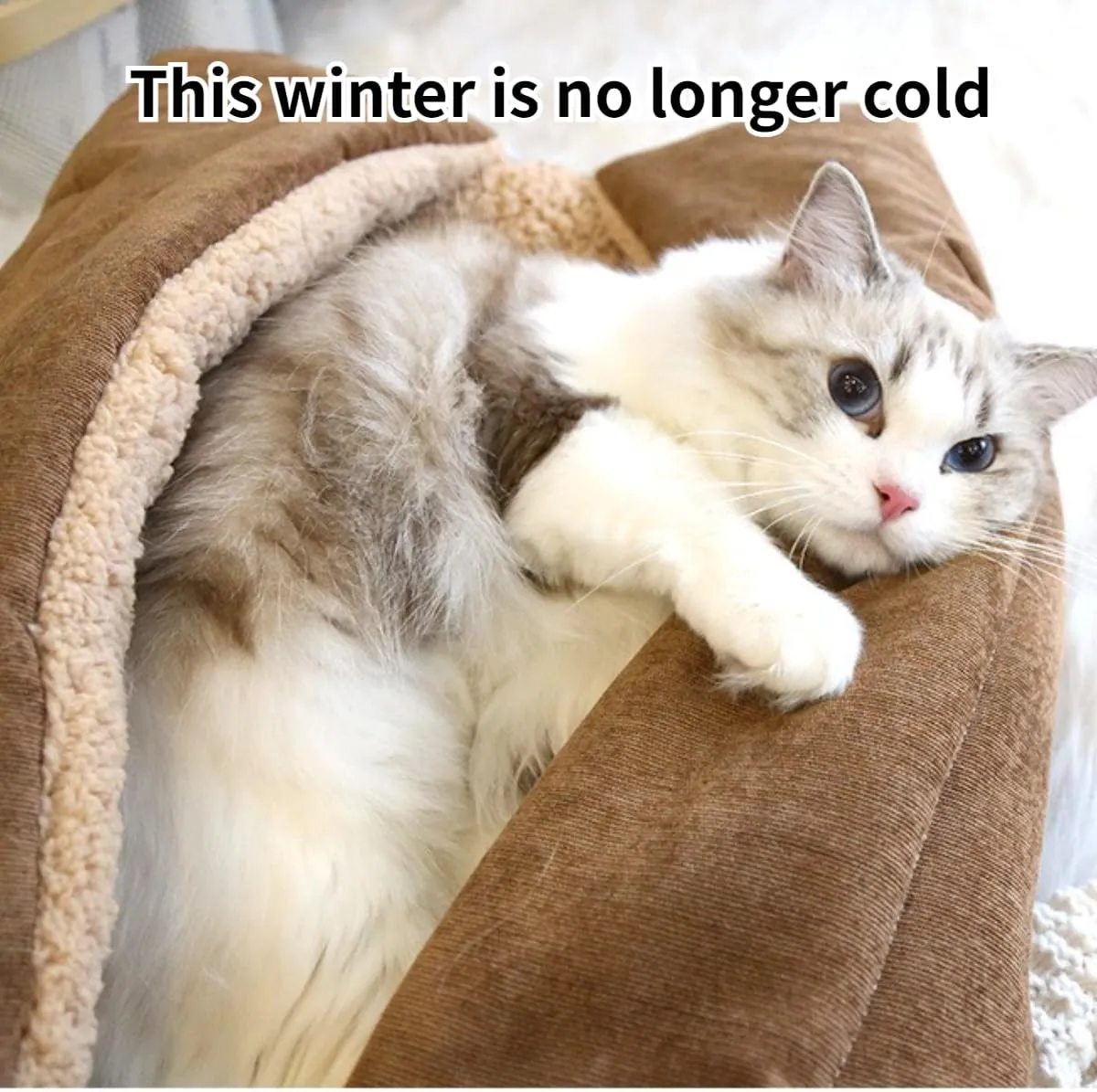 Cat Beds Small Dog Bed, Self Warming Cat Dog Mat Washable Warm Fluffy Pet Pad Calming Cushion Soft Kitty Bed for Indoor Outdoor Crate Pets Cat Small Dog Sleeping (Light Gray,Small)