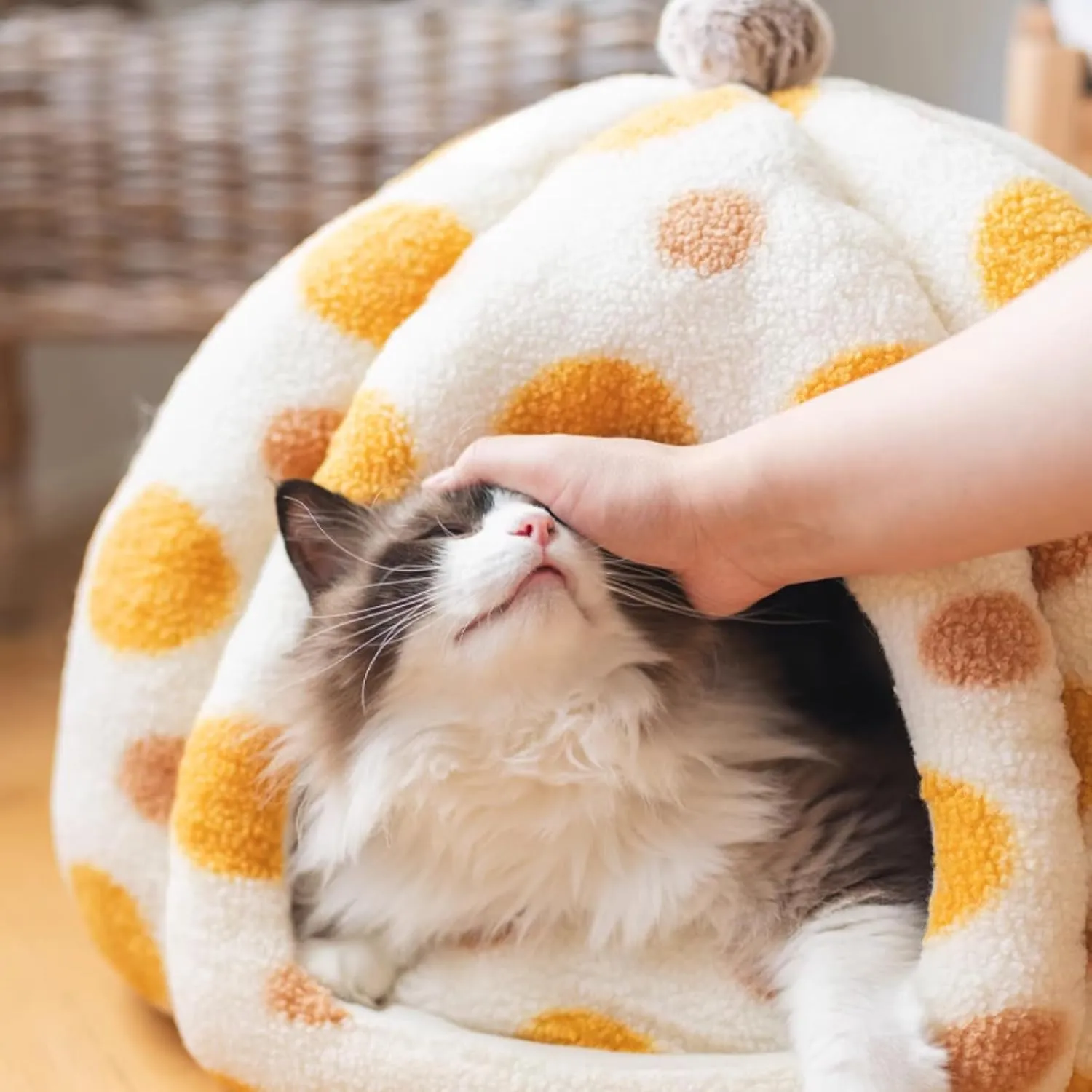 Cat Polka Dot Yurt Bed, Plush Warm Semi-Enclosed Cave Hideaway, Soft Comfy House for Indoor Kitten (Blue,Large)