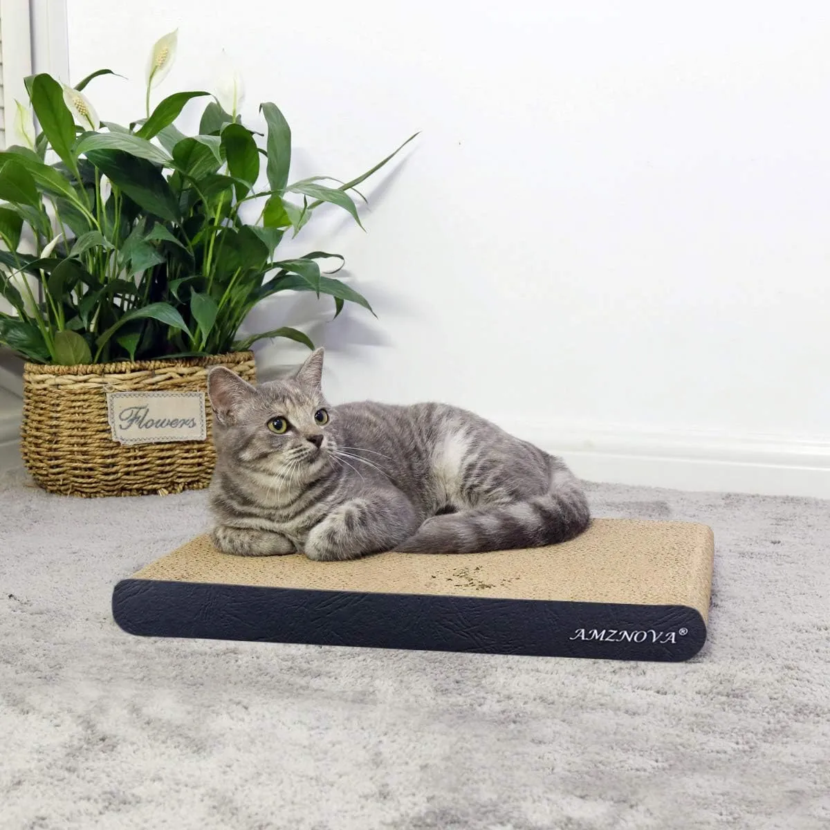 Cat Scratching Pad, Cat Scratcher Cardboard, Scratch Lounge with Catnip, Wide, Textured Black(Upgraded)