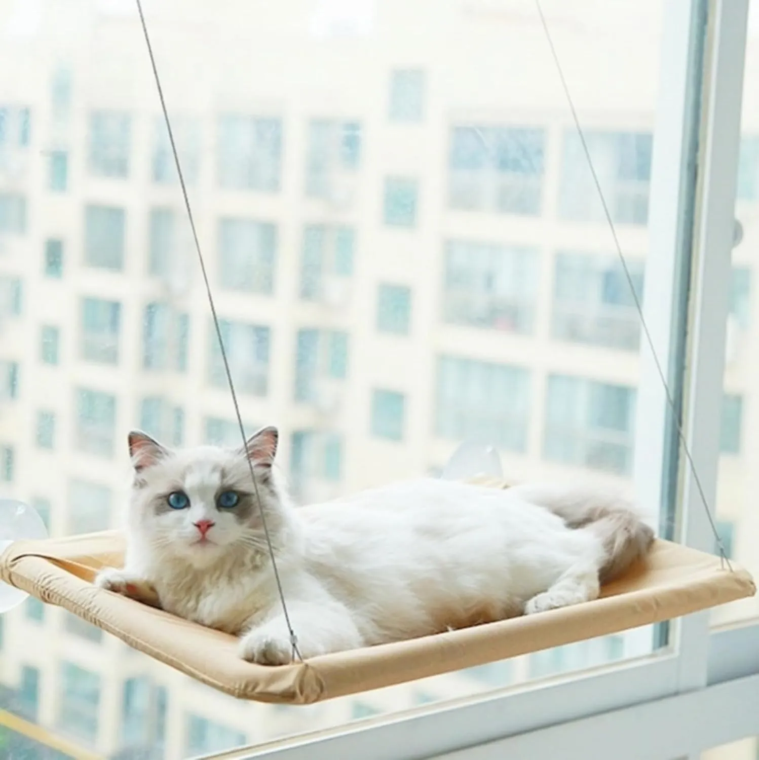 Cat Window Hammock Window Perch, Cat Bed, Animal Safety Shelves Space Saving (Khaki, All Seasons)