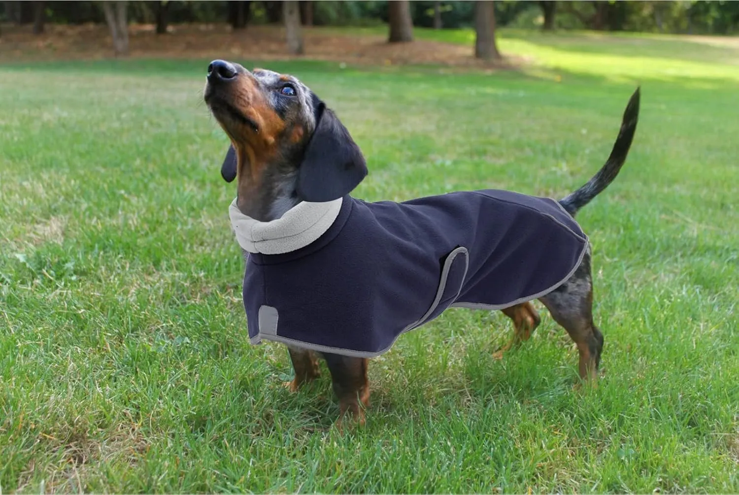 Dachshund Fleece Coats, Perfect for Dachshunds Sausage Weiner Puppy Winter Jacket with Reflective Trim and high Collar, Dog Snowsuit with Adjustable Bands - Navy - XS