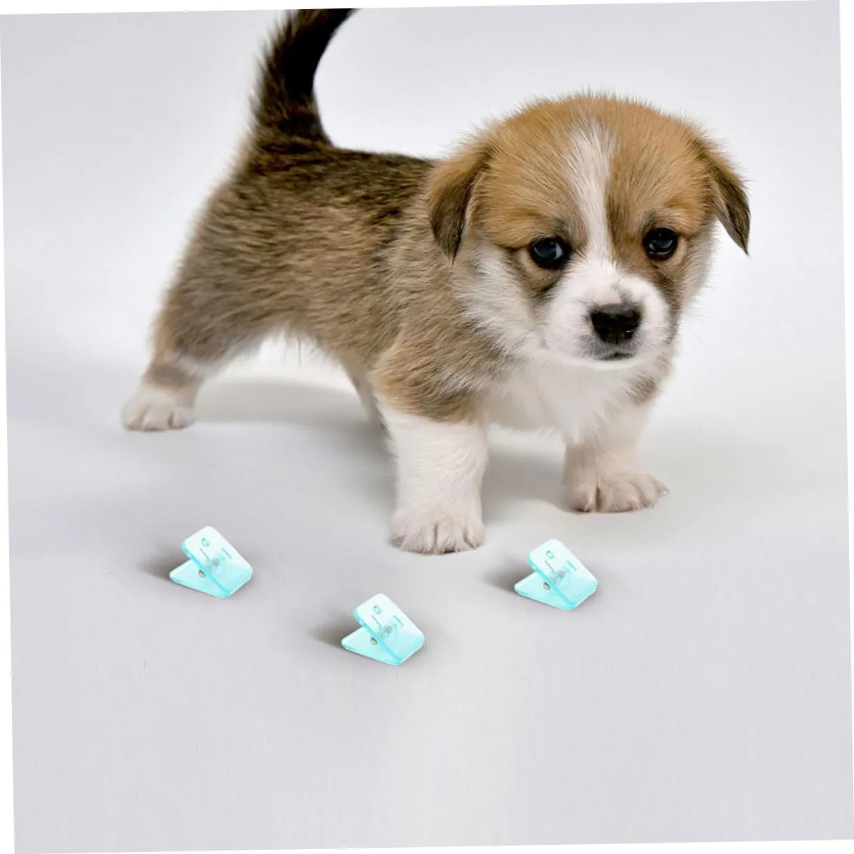 Dog Pee Pads for Indoors Extra Large Dog Training Pad Holder Reusable Wall Mount
