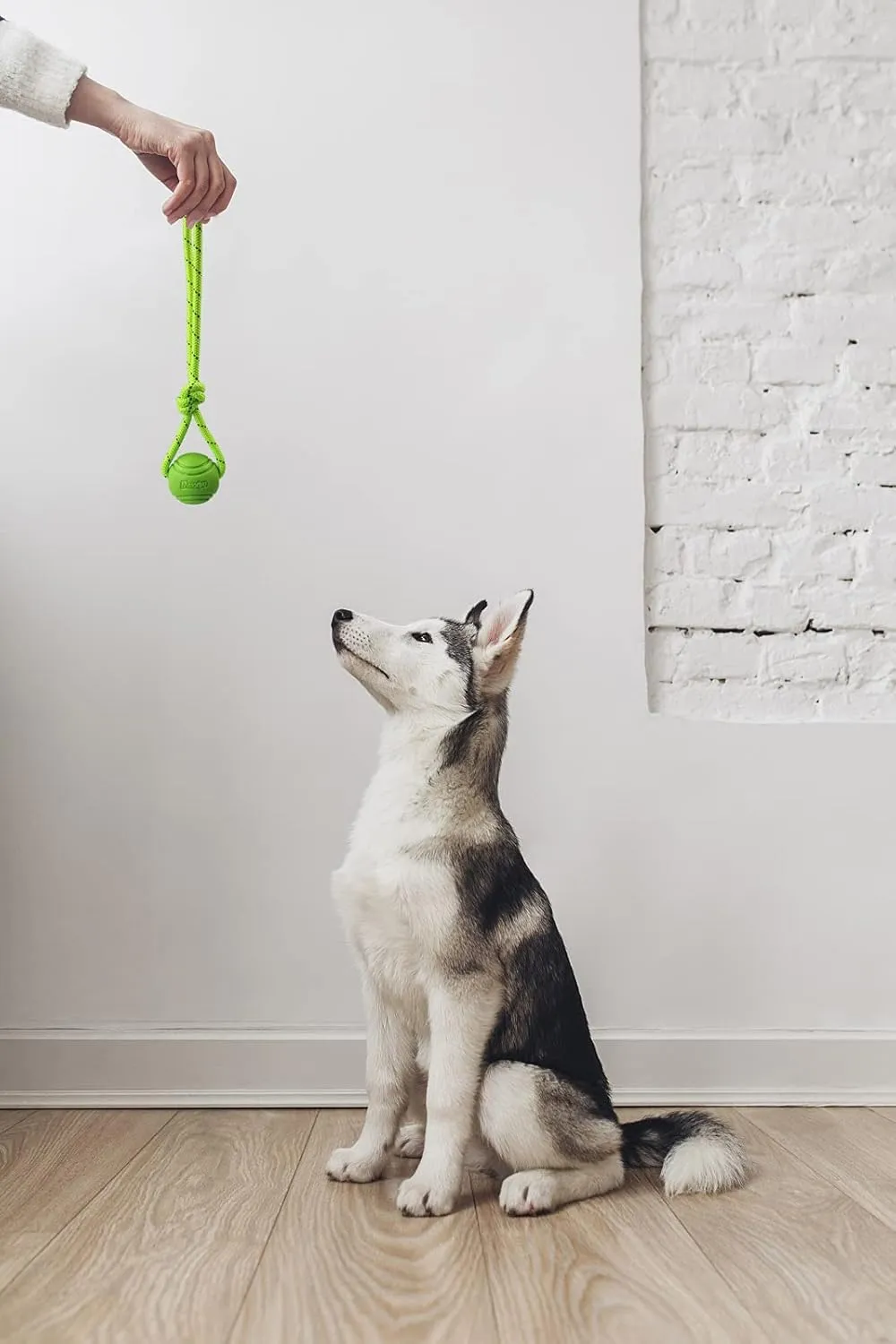 Dog Training Ball on A Rope Rubber Dog Rope Toys Ball with Handle for Tug of War K9 Training Rewards for Belgian Malinois Gifts, 5cm in Diameter for Small Dogs 0-30 Lbs, Pack of 4