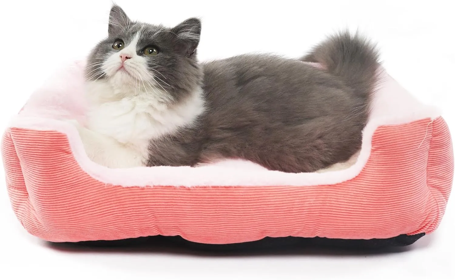 Extra Small Dog Bed for 3-5 Pound Dog Washable Cute Pink Cat Bed for Indoor Cats 18x14x5 Orthopedic Supportive Pet Sofa Bed with Sides