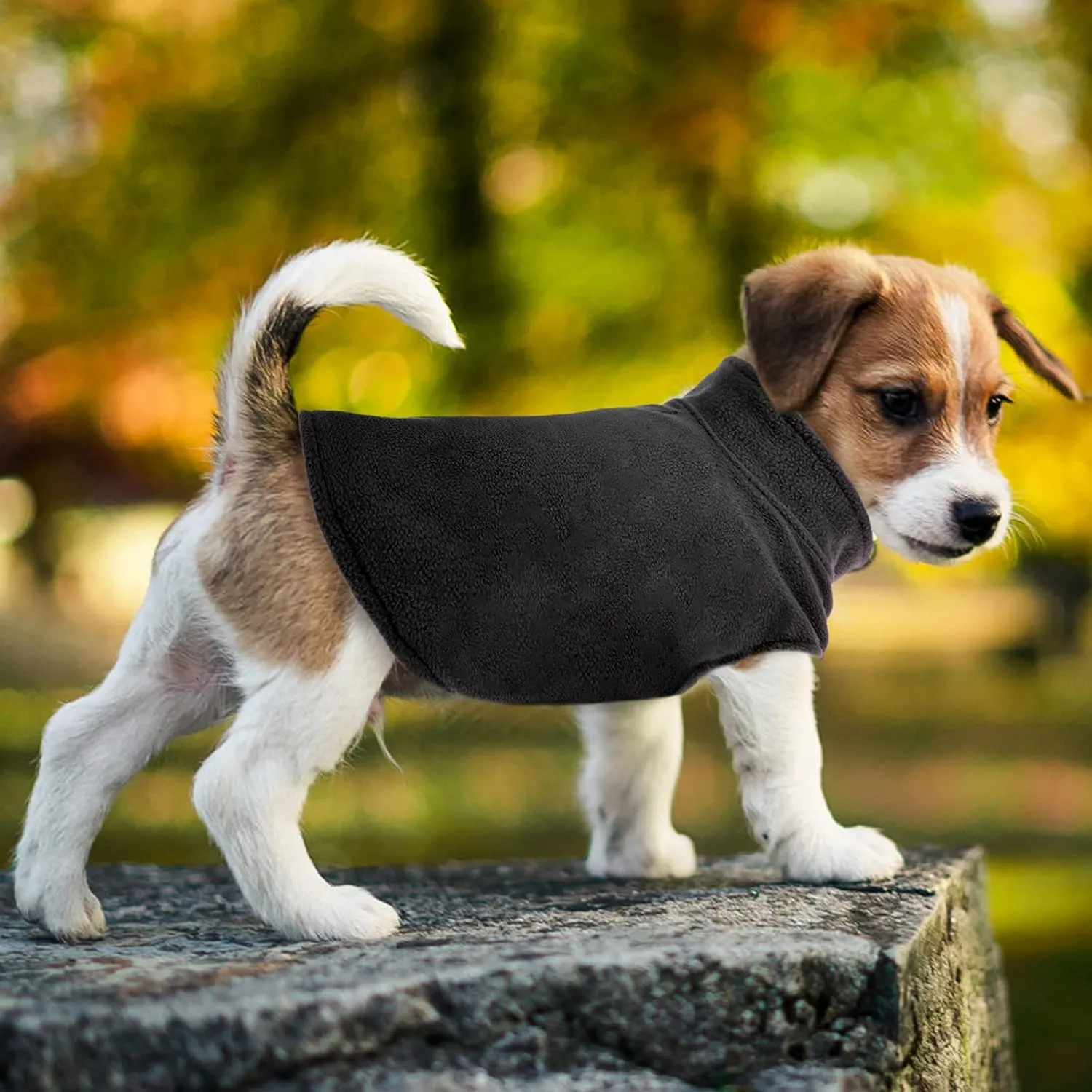 FUAMEY Dog Fleece Vest Puppy Warm Sweatshirt Stretchy Sweater Pullover Turtleneck Coat Winter Jacket with Leash Hole, Dachshund Yorkie Clothes Small Medium Large Dogs Black