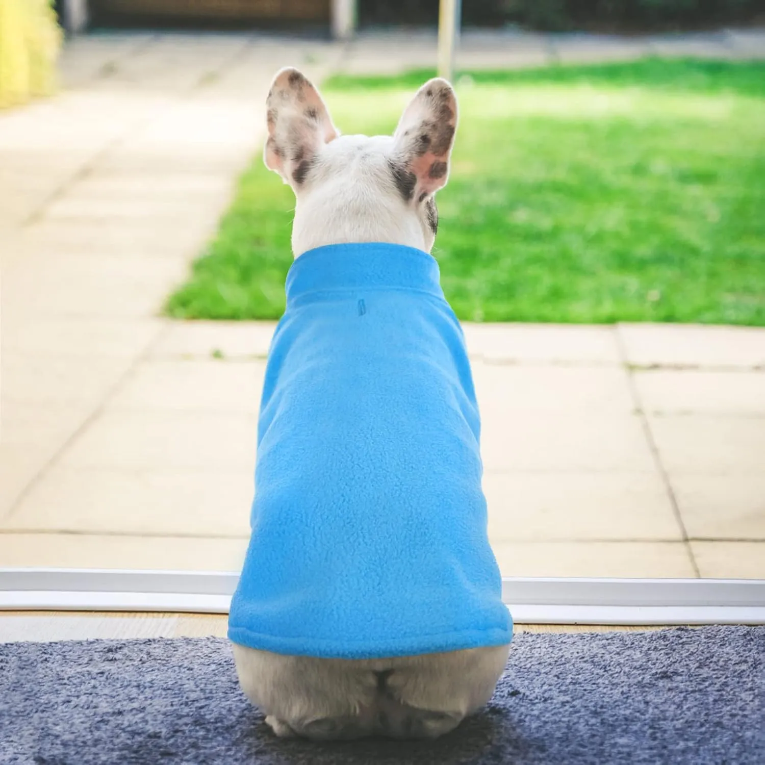 FUAMEY Fleece Vest, Warm Sweatshirt Puppy Stretchy Sweater Pullover Turtleneck Coat Winter Jacket With Leash Hole, Dachshund Sweaters Yorkie Clothes for Small Medium Large Dogs Blue L