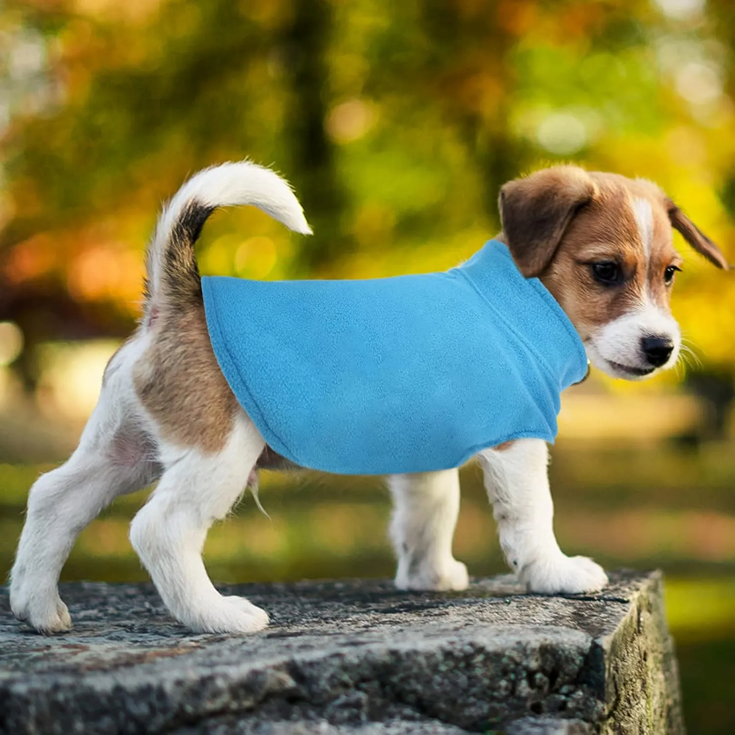 FUAMEY Fleece Vest, Warm Sweatshirt Puppy Stretchy Sweater Pullover Turtleneck Coat Winter Jacket With Leash Hole, Dachshund Sweaters Yorkie Clothes for Small Medium Large Dogs Blue L