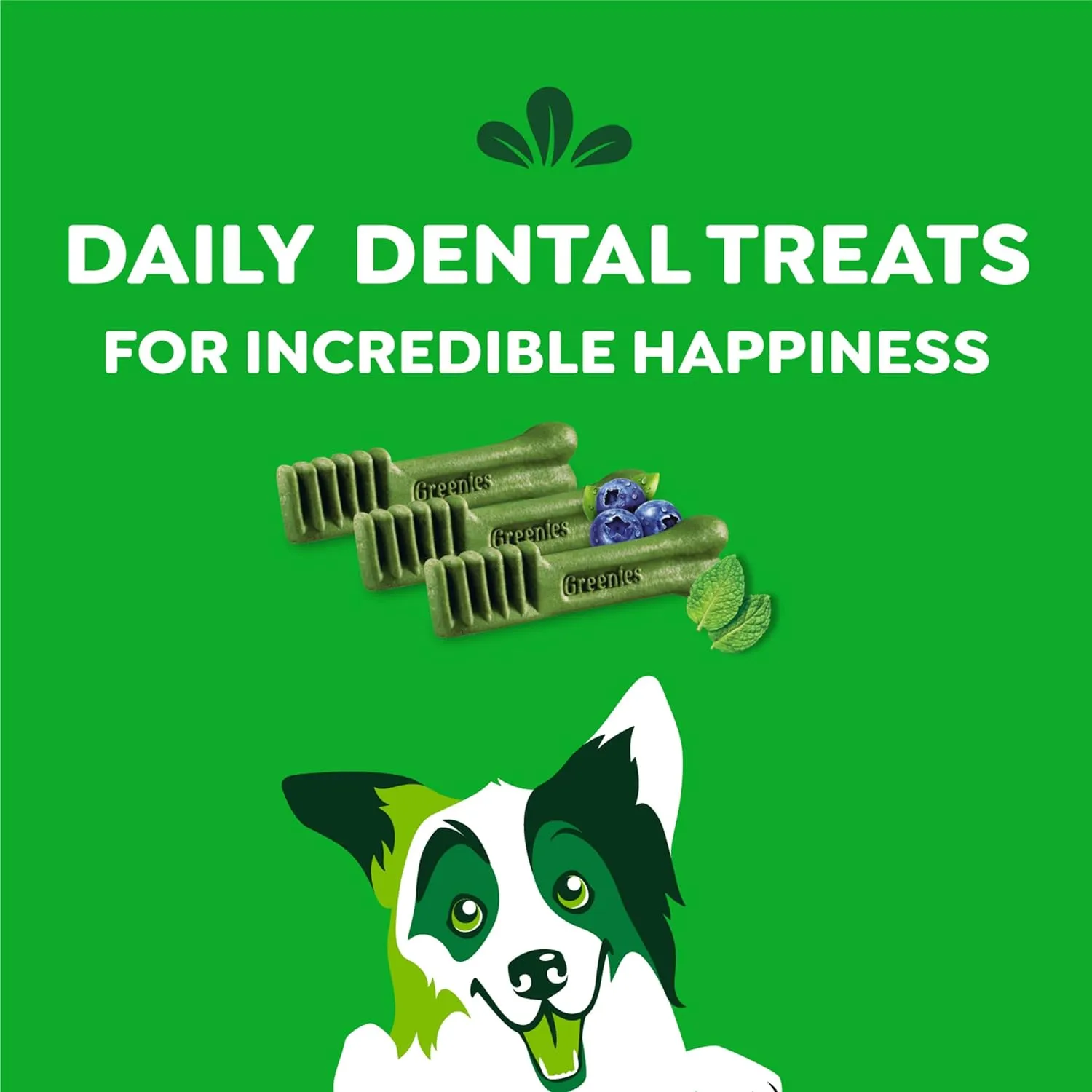 Greenies Regular Natural Dental Care Dog Treats, 3-Flavor Variety Pack, (3) 12 oz. Pouches, 36 Total Treats