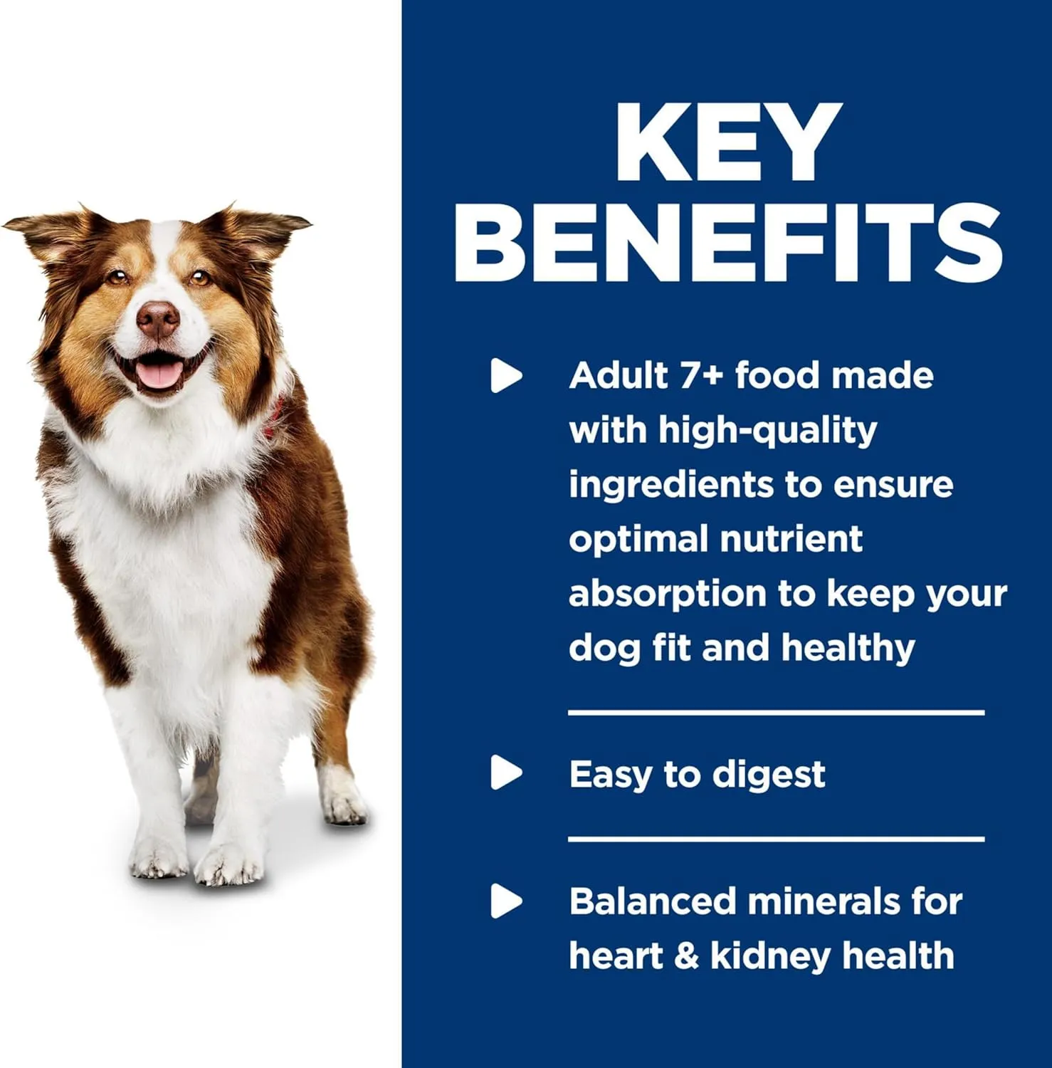 Hill's Science Diet Adult 7 , Senior Adult 7  Premium Nutrition, Wet Dog Food, Chicken & Barley Loaf, 13 oz Can, Case of 12