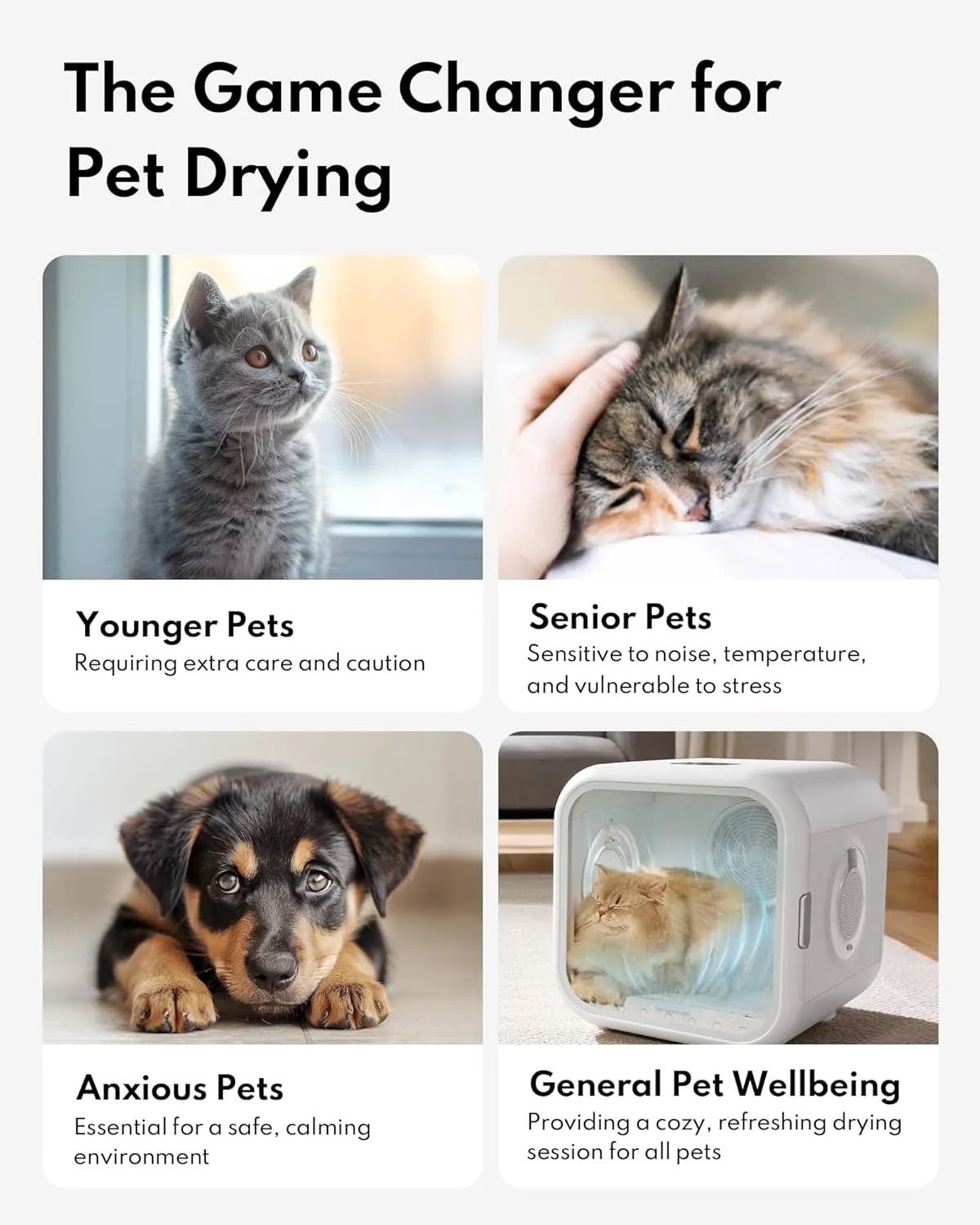 HomeRunPet Cat Dryer, 360 Efficient Automatic and Quiet Box with Smart Temperature Control, Ideal for Small Dogs (50L Drybo Plus Pet Dryer Box)