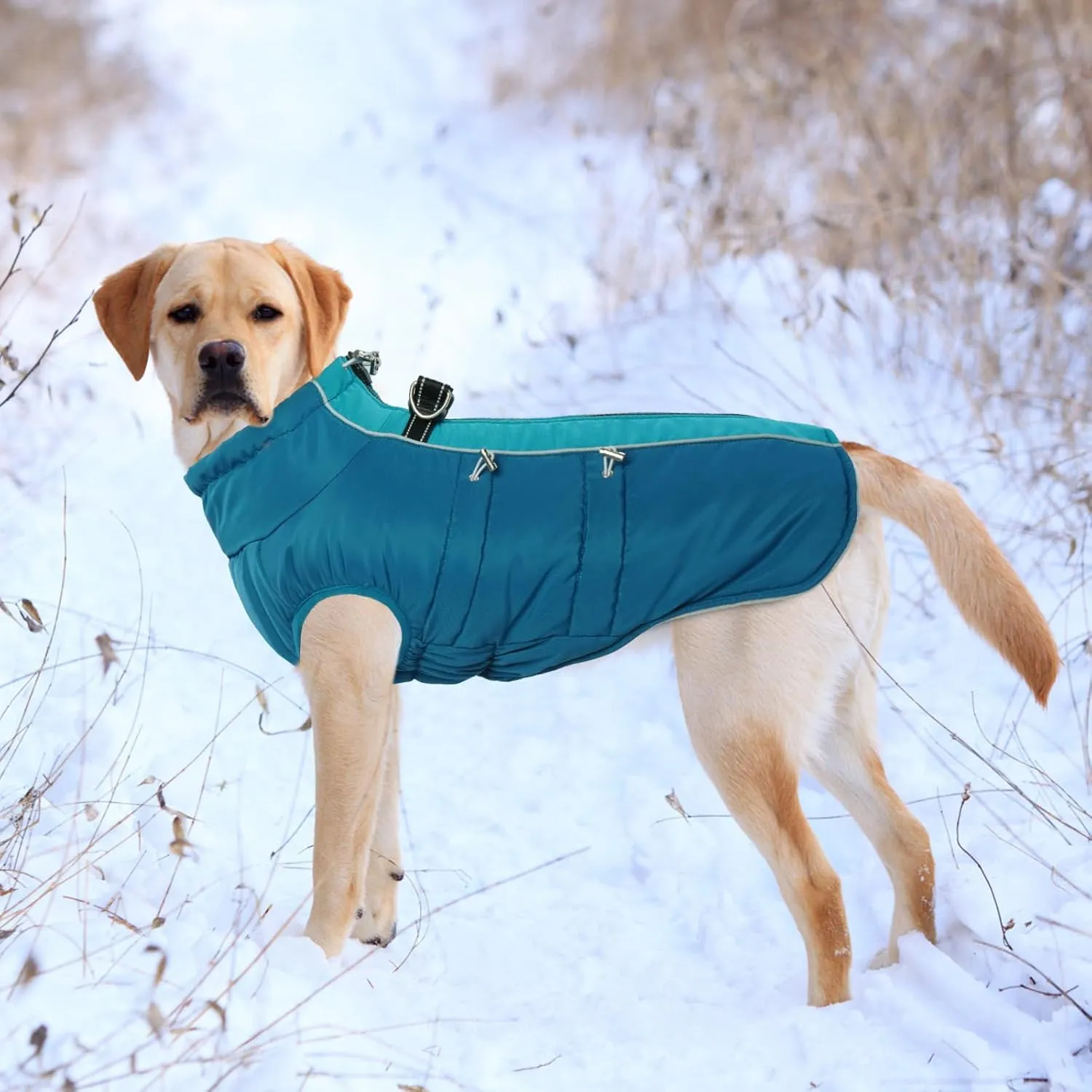 IDOMIK Warm Dog Coat with Built-in Harness - Winter Coat, Cold Weather Jacket, Waterproof, Thicken Fleece, Windproof Snow Jacket for Small, Medium, Large Dogs