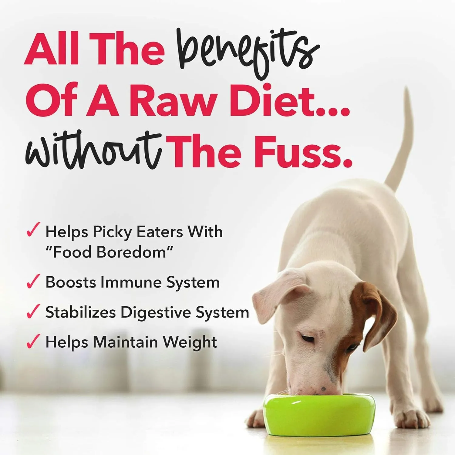 iHeartDogs Dog Food Topper - Freeze-Dried Raw Dog Food Seasoning with Collagen Peptides - Grain Free Superfood Meal Mixer (Beef, 3 Ounce)