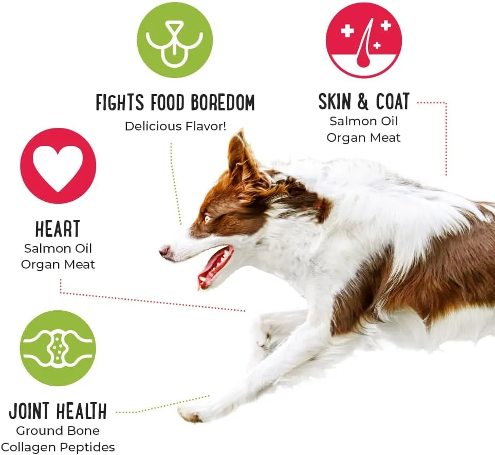 iHeartDogs Dog Food Topper - Freeze-Dried Raw Dog Food Seasoning with Collagen Peptides - Grain Free Superfood Meal Mixer (Beef, 8 Ounce)