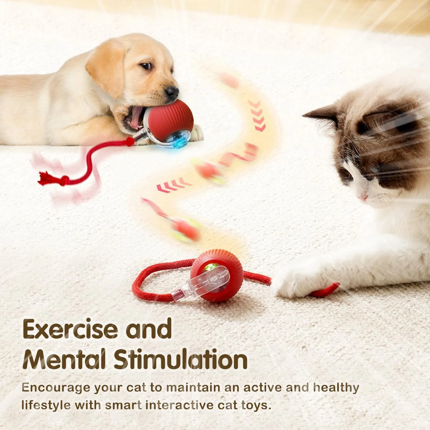 Interactive Electric Automatic Rolling Moving USB Rechargeable Self Activated Play Stimulation Toy Smart Chase Teaser Ball with Speedy Tail Rope for Bored Adult Indoor Cats and Dogs, Grey