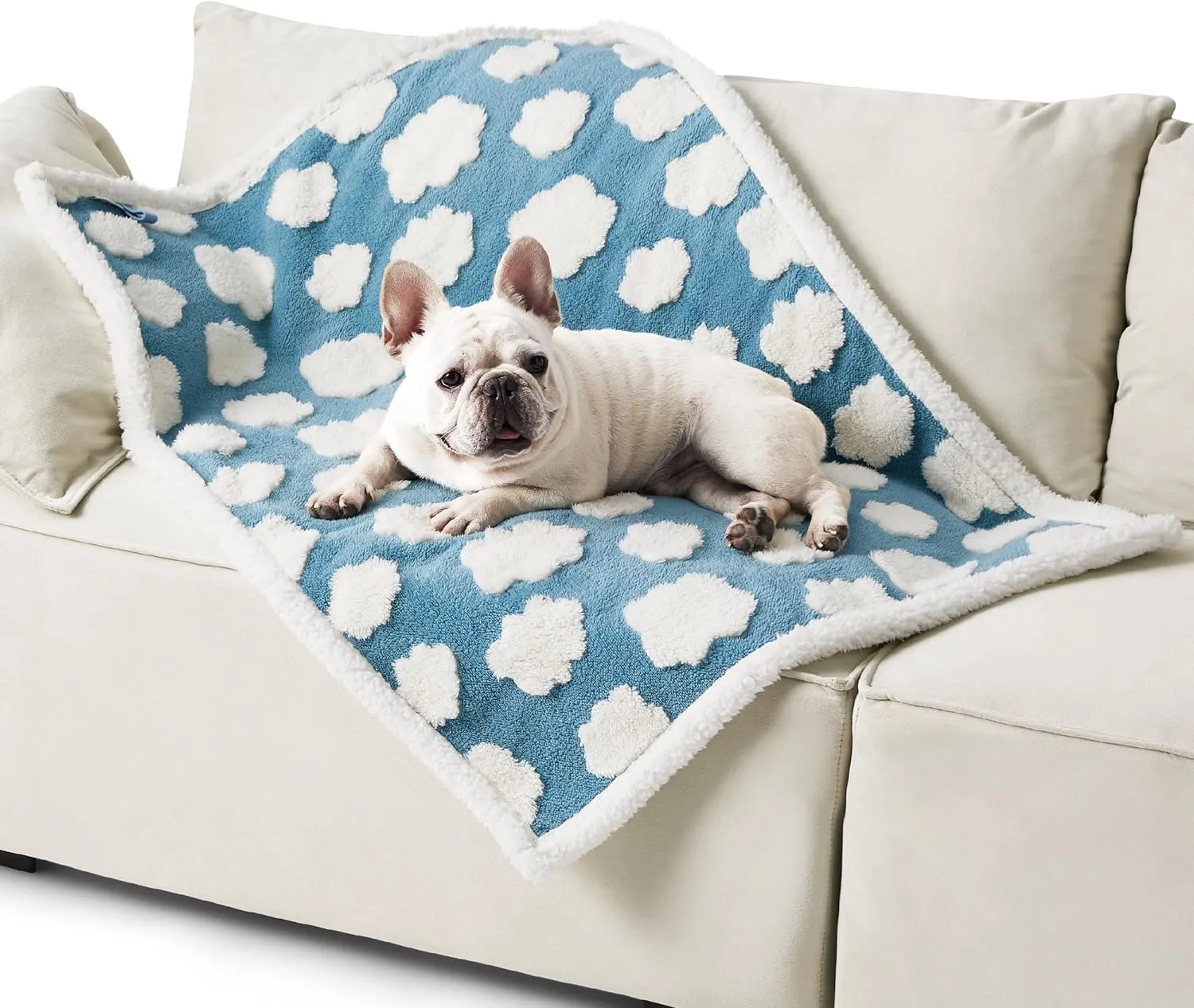 Lesure Waterproof Dog Blanket for Medium Dogs - Washable Double Sided Dog Blankets with Warm Jacquard Shag and Soft Sherpa Fleece, Pet Cat Blanket for Couch Protection, 3D Textured Cloud, Blue