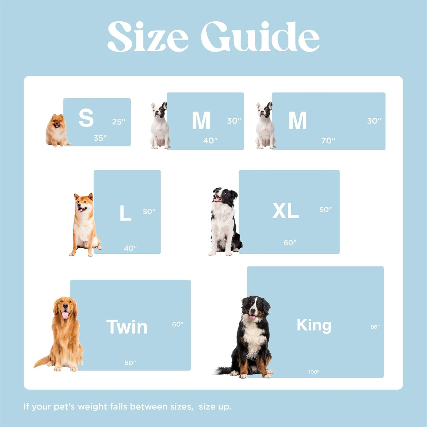 Lesure Waterproof Dog Blanket for Medium Dogs - Washable Double Sided Dog Blankets with Warm Jacquard Shag and Soft Sherpa Fleece, Pet Cat Blanket for Couch Protection, 3D Textured Cloud, Blue