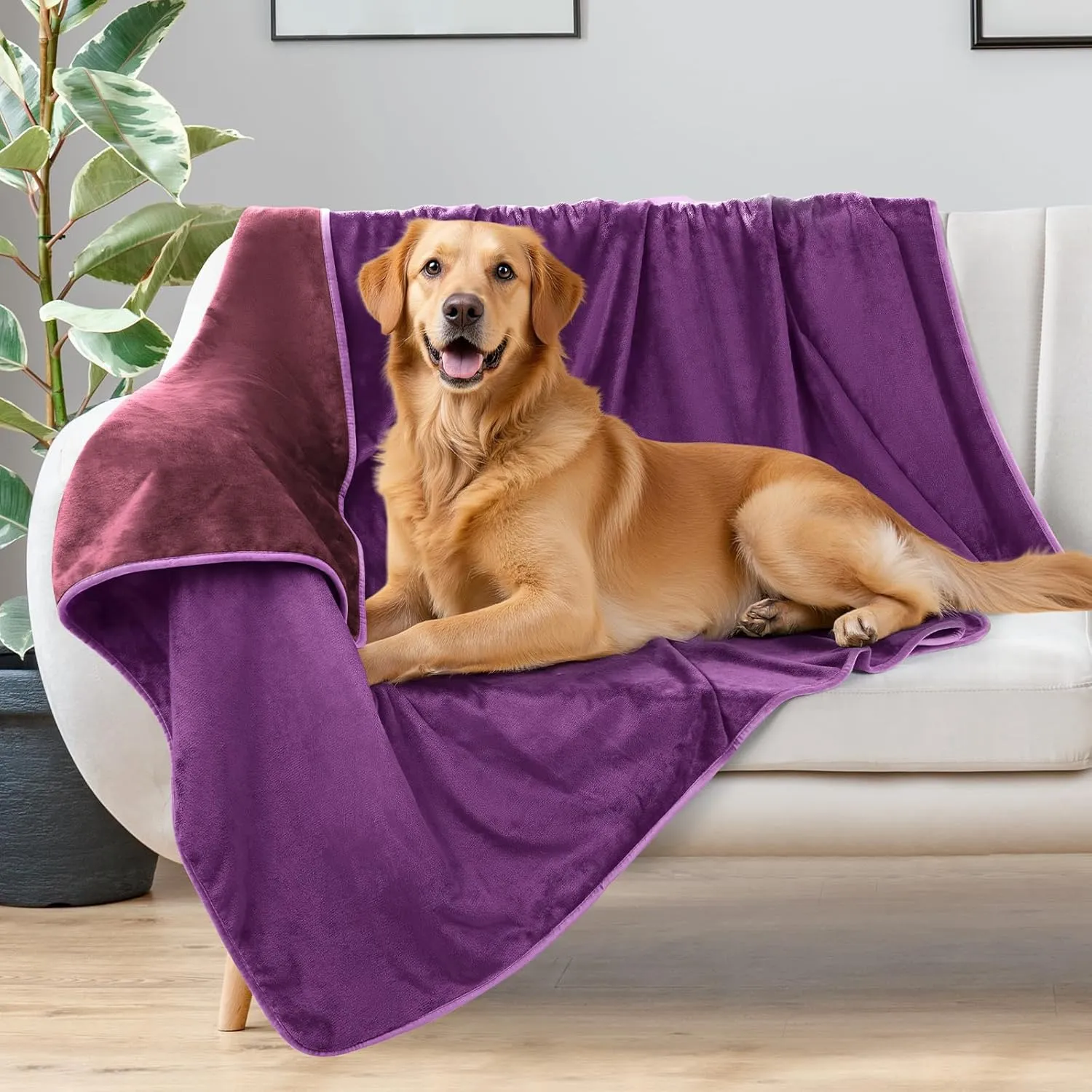LOOBANI Dog Blanket Waterproof for Bed: Spill-Proof Puppy Blankets for Medium Large Dogs Washable, Reversible Soft Flannel Dog Throw for Couch Cover, Crate, Travel, Picnic, 50" x 60", Purple
