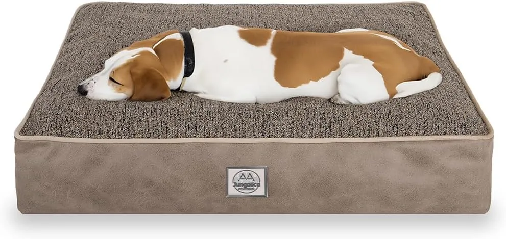 Memory Foam Dog Bed for Medium Dogs- Waterproof Dog Bed Mat with Removable Washable Cover, Waterproof Lining and NonSkid Bottom.Beige