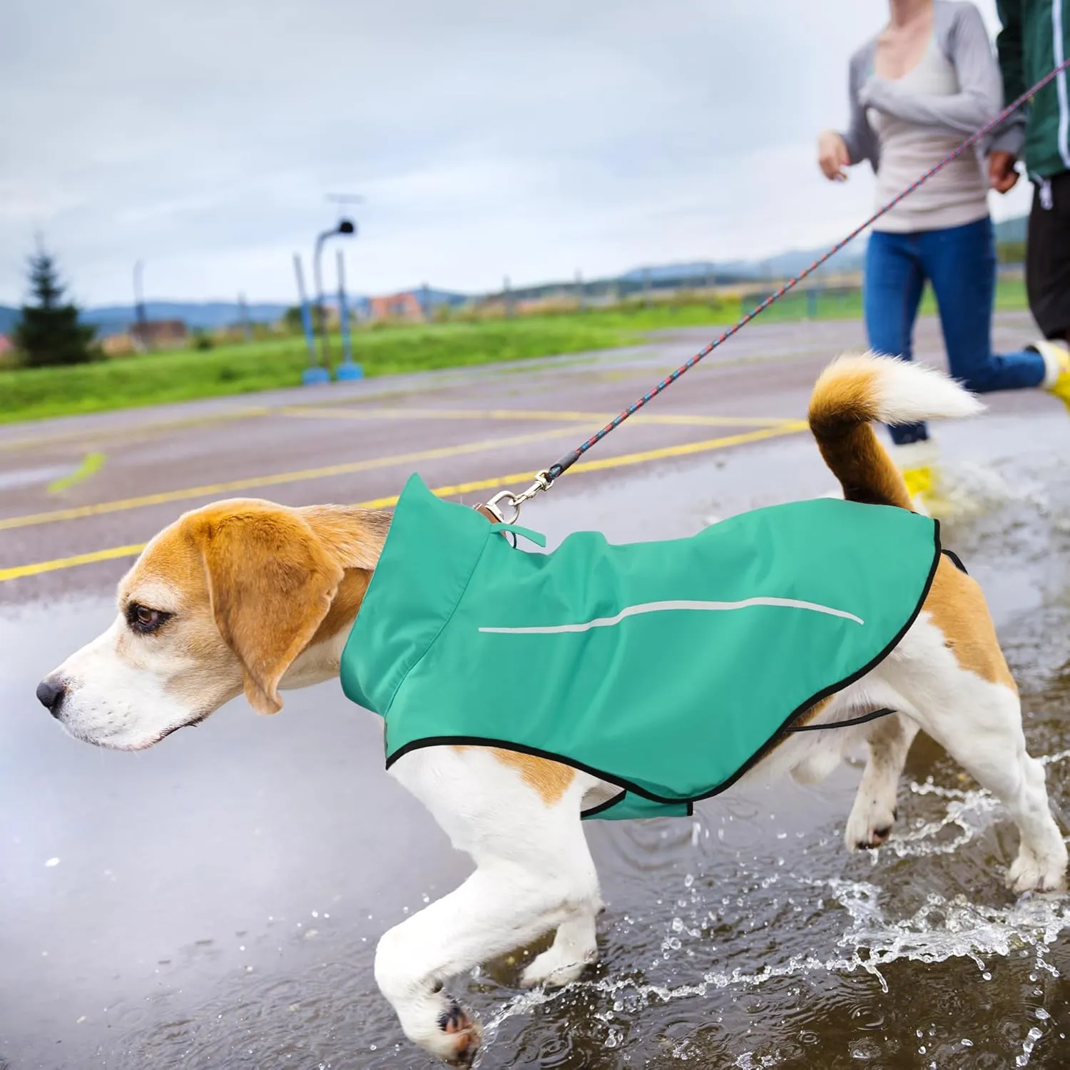 Mile High Life Dog Raincoat, Adjustable Waterproof Reflective Rain Jacket for Small Medium Large Dogs, Lightweight Breathable Pet Rain Coat with Leash Hole(Green,XXS Chest 16-19")