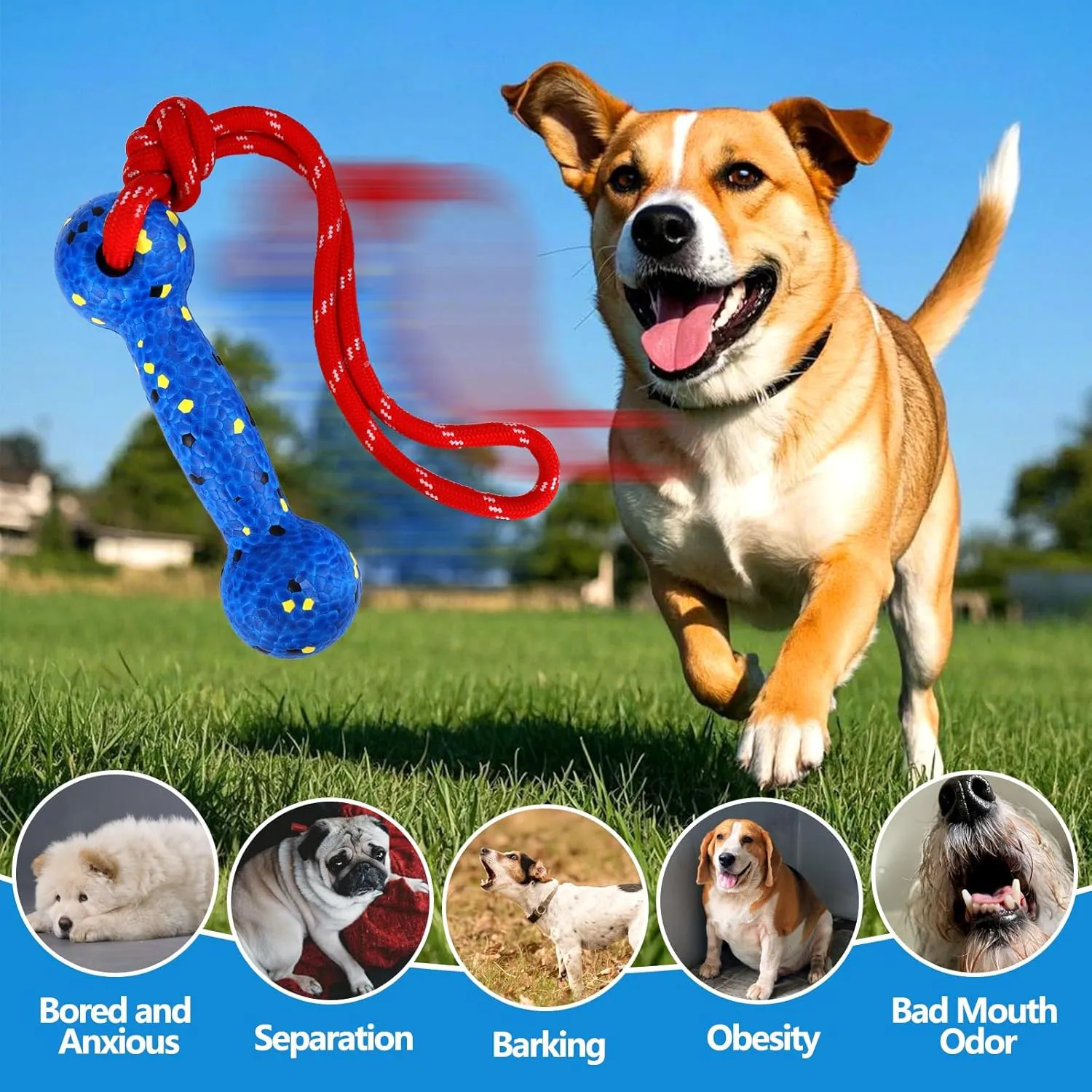 Mity rain Floating Dog Toys E-TPU Water Pool Fetching Toy with Rope for Small Medium Large Pet, Bumper Shape Indestructible Interactive Dog Chew Toys for Summer Outdoor Training Fun (Blue)