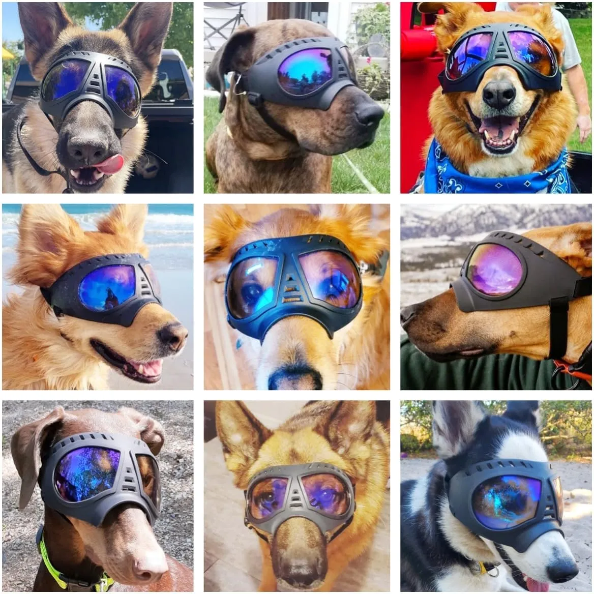 Namsan Clear Dog Goggles for Large Dogs, Wide Snout & Soft Frame, Tactical Driving Sunglasses for Dogs Medium to Large Breed, Anti-UV Dog Eye Protection, Windproof Dustproof, Adjustable, Clear Blue