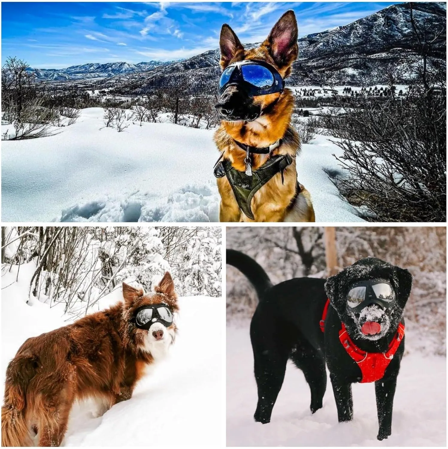 Namsan Dog Goggles for Large Dogs, Wide Snout & Soft Frame, Tactical Driving Sunglasses for Dogs Medium to Large Breed, Anti-UV Dog Eye Protection, Windproof Dustproof, Adjustable, Black