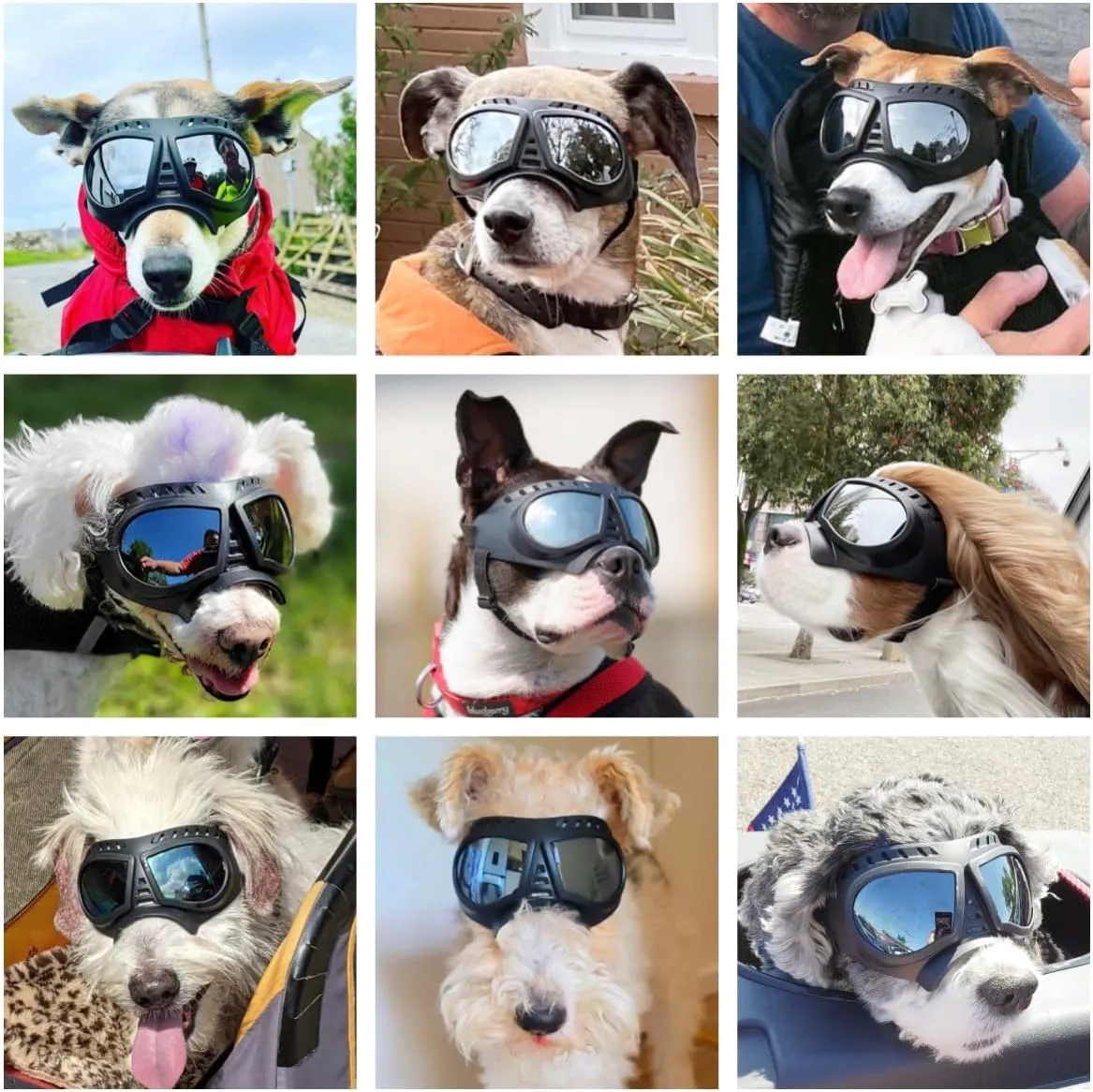 Namsan Dog Goggles Small Breed, Wide Snout & Soft Frame, Tactical Driving Sunglasses for Dogs Small to Medium Breed, Anti-UV Dog Eye Protection, Windproof Dustproof, Adjustable, Silver Lens