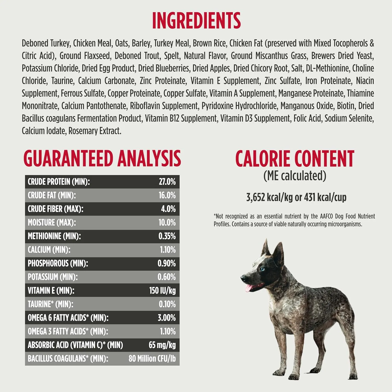Nulo Frontrunner Ancient Grains High-Protein Dog Food, Turkey, Trout & Spelt Recipe- Natural Dry Dog Food with Probiotics, Grain-Inclusive Kibble for Adult Dogs, 5 lb Bag