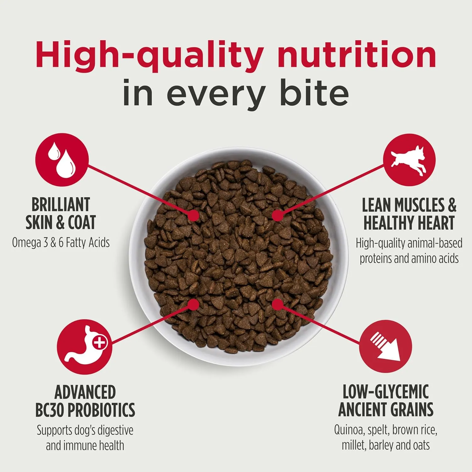 Nulo Frontrunner Ancient Grains High-Protein Dog Food, Turkey, Trout & Spelt Recipe- Natural Dry Dog Food with Probiotics, Grain-Inclusive Kibble for Adult Dogs, 5 lb Bag