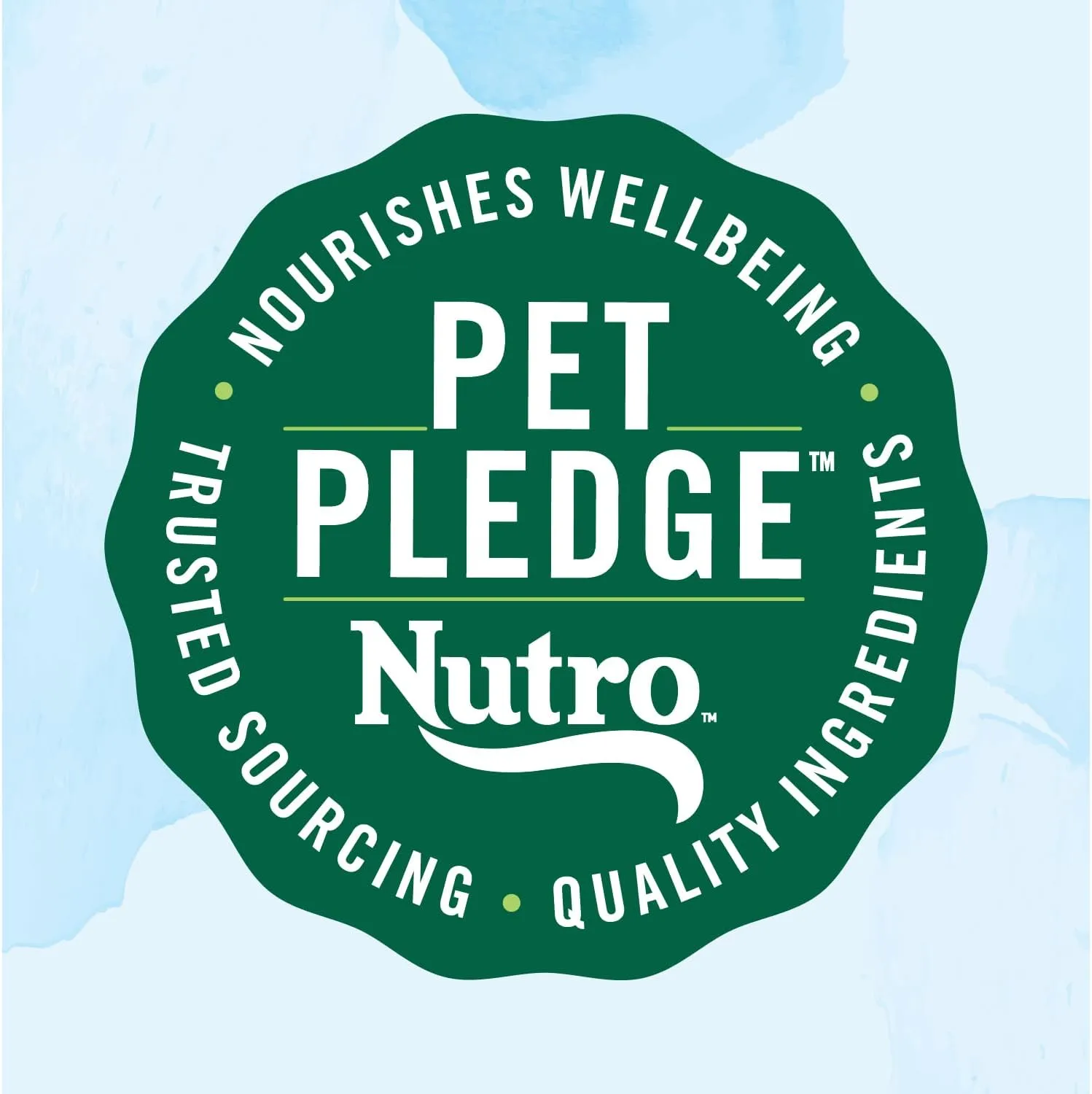 Nutro Limited Ingredient Diet Dry Dog Food, Salmon & Lentils Recipe, 22 lbs.