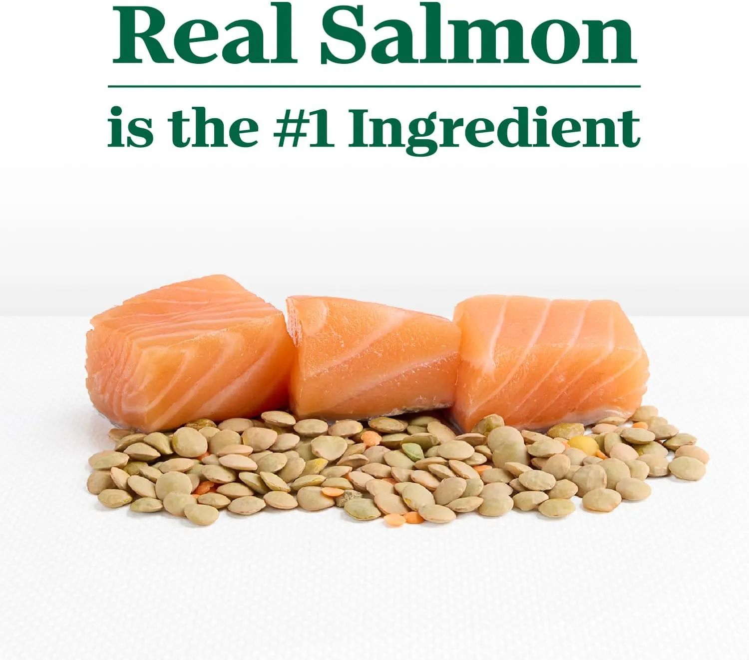 Nutro Limited Ingredient Diet Dry Dog Food, Salmon & Lentils Recipe, 4 lbs.