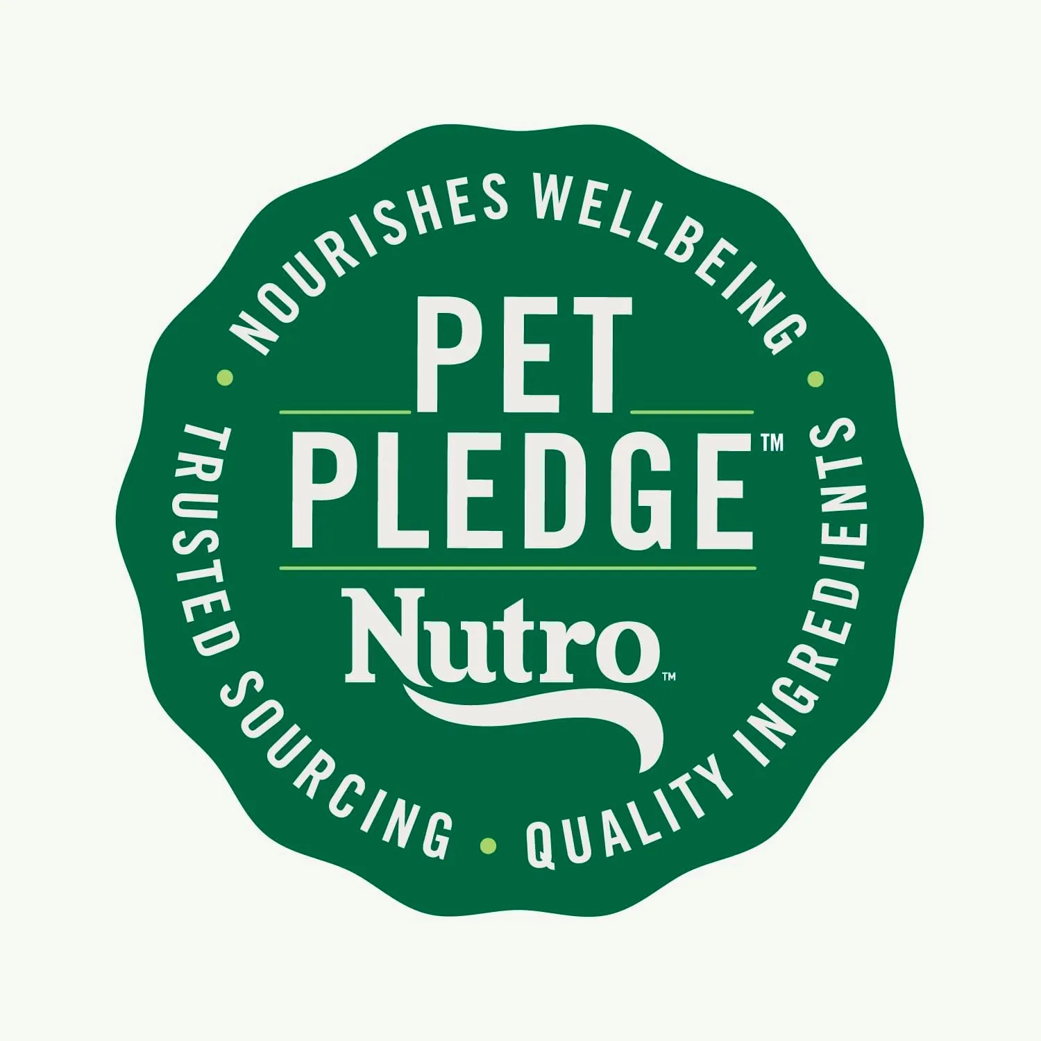 Nutro Natural Choice Adult Dry Dog Food, Beef and Brown Rice Recipe, 12 lbs.