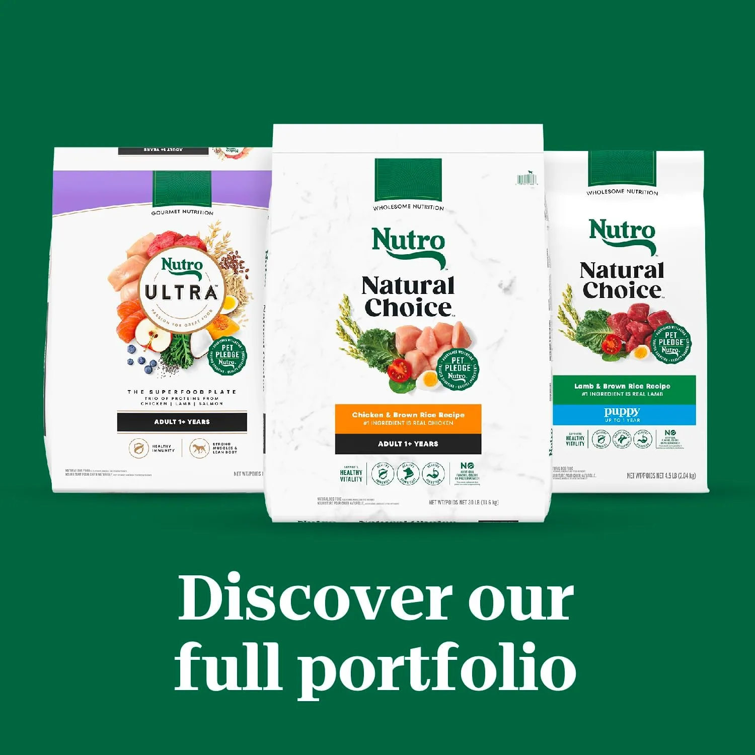 Nutro Natural Choice Adult Dry Dog Food, Chicken and Brown Rice Recipe 13 lbs.