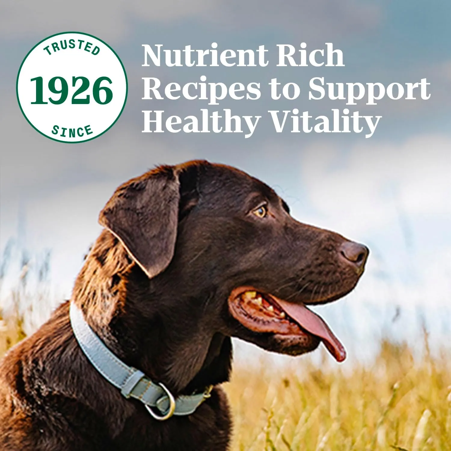 Nutro Natural Choice Adult Large Breed Dry Dog Food, Lamb and Brown Rice Recipe, 30 lbs.