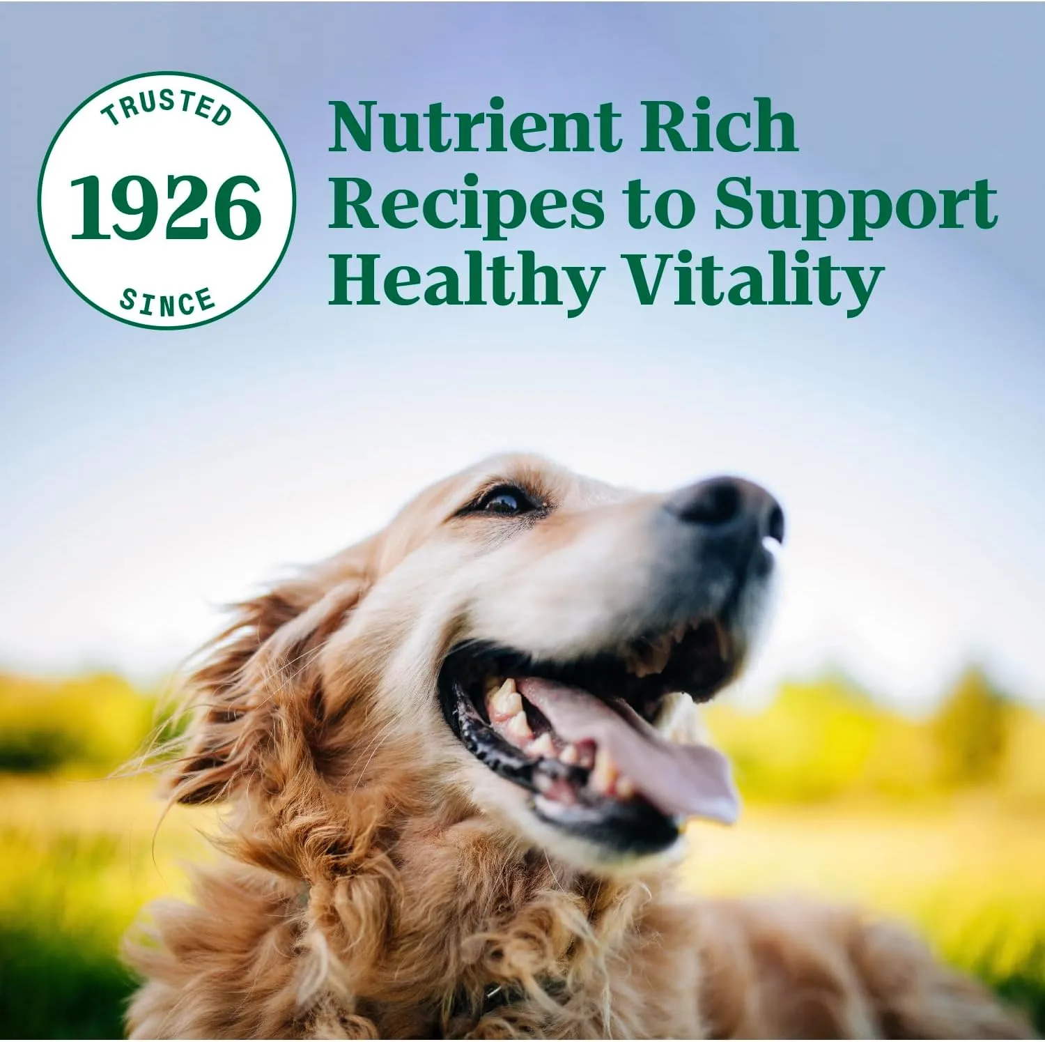 Nutro Natural Choice Senior Dry Dog Food, Chicken and Brown Rice Recipe, 30 lbs.