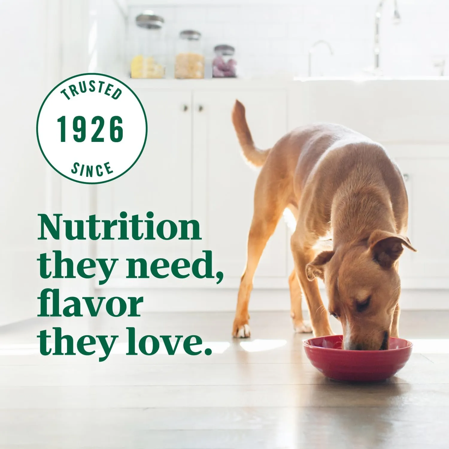 Nutro Ultra Adult Dry Dog Food with a Trio of Proteins from Chicken, Lamb and Salmon, 30 lb. Bag