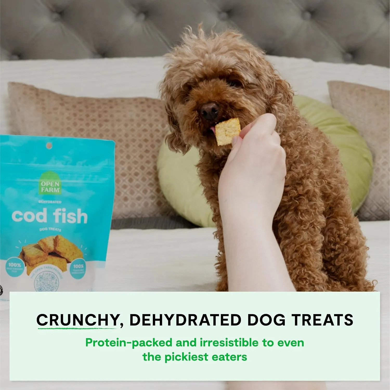 Open Farm, Dehydrated Dog Treats, High Protein & Low Carbohydrate Dog Snacks, Crunchy Texture, Single Ingredient Wild-Caught Cod Fish Recipe, 2.25oz Pouch