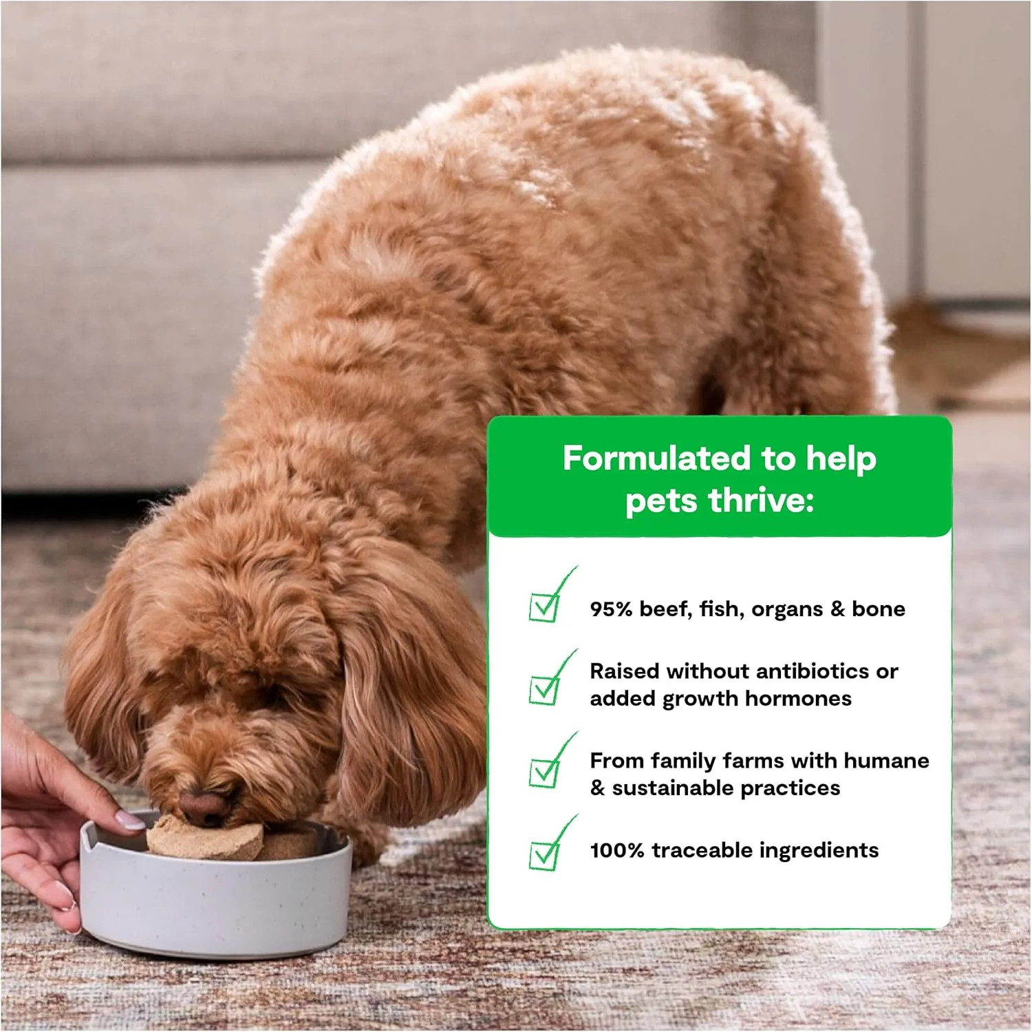 Open Farm Freeze Dried Raw Patties for Dogs, Humanely Raised Meat Recipe with Non-GMO Superfoods and No Artificial Flavors or Preservatives, Surf and Turf Recipe, 10.5oz