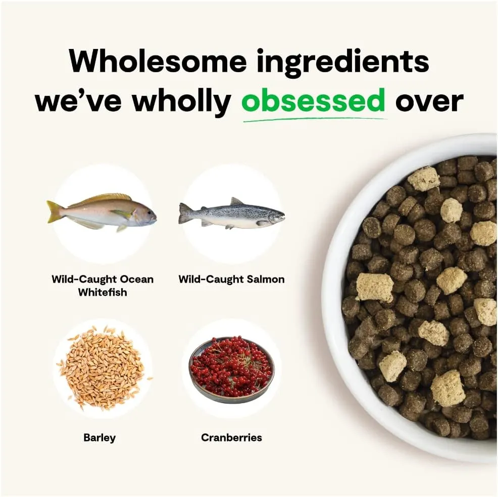 Open Farm, RawMix Dry Dog Food with Ancient Grains, Protein-Packed Kibble Coated in Bone Broth with Freeze Dried Raw Chunks, Salmon Whitefish & Rockfish,Wild Ocean Recipe, 3.5lb Bag
